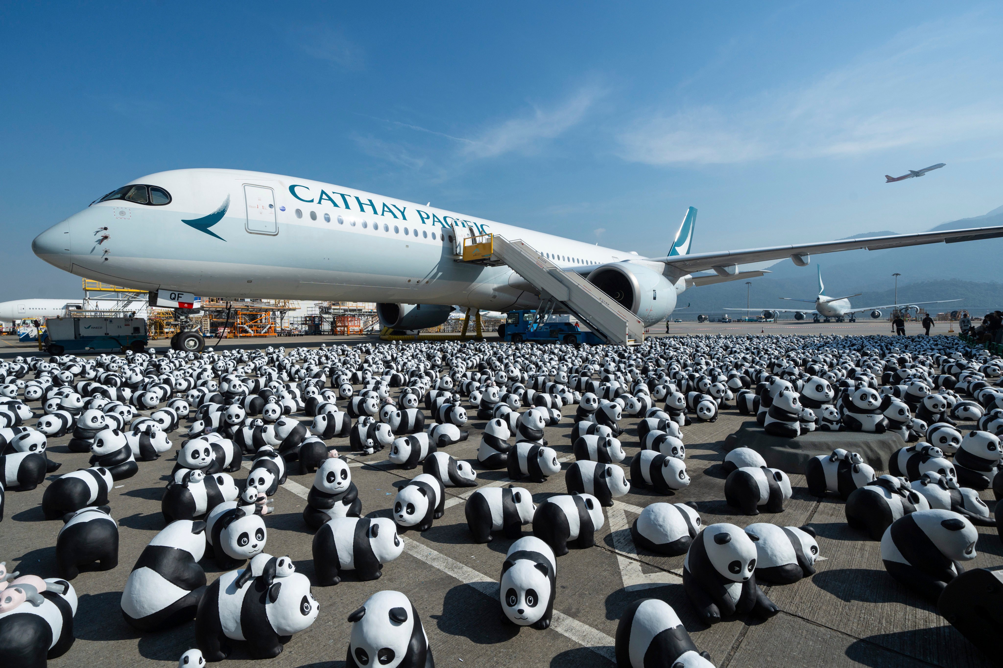 Panda sculptures are displayed at Hong Kong International Airport for the launch of a panda-themed exhibition on December 2. Photo: AP