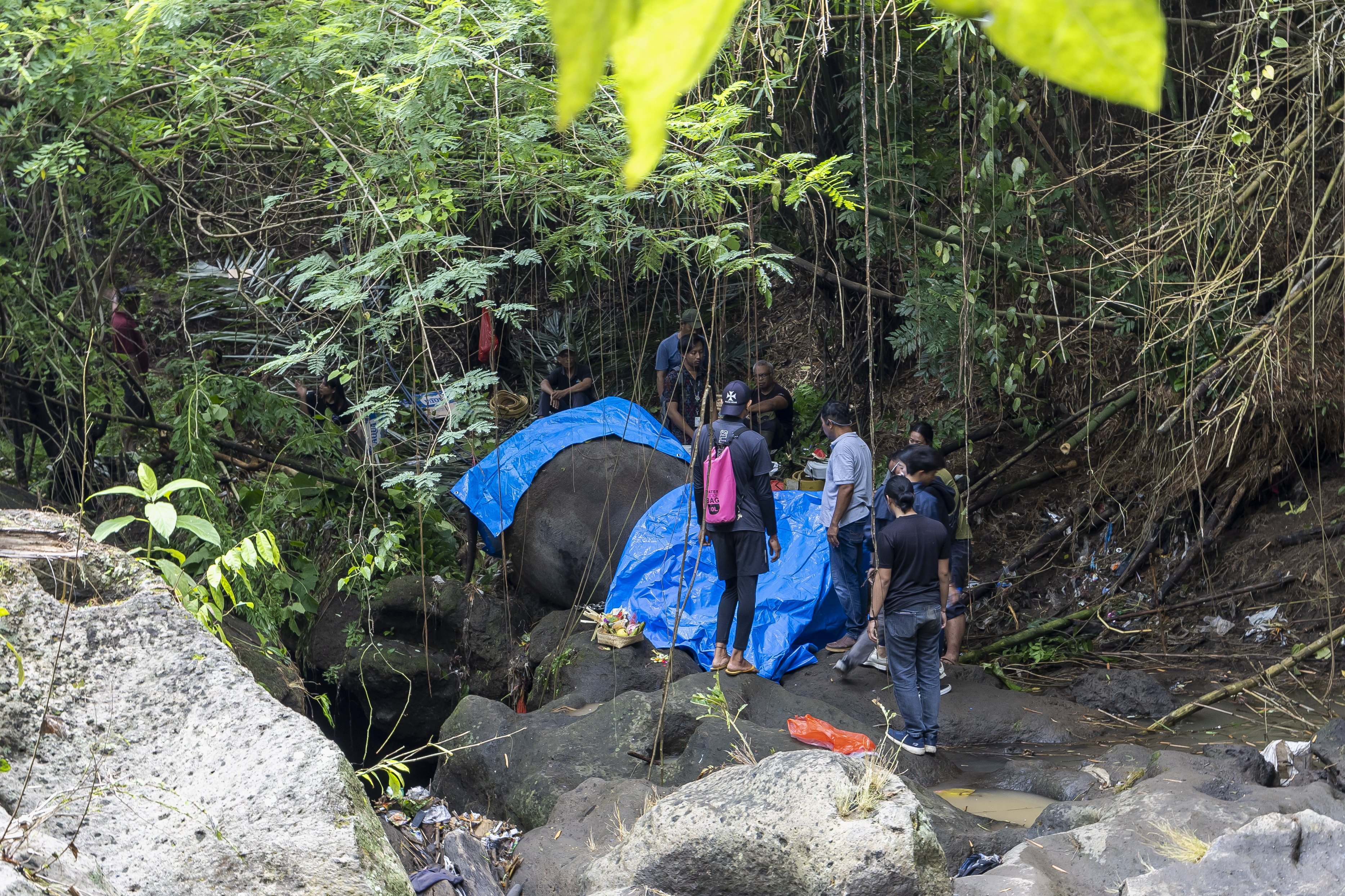 The dead elephant was found in Cengceng river in Bali’s Gianyar district. Photo: EPA-EFE
