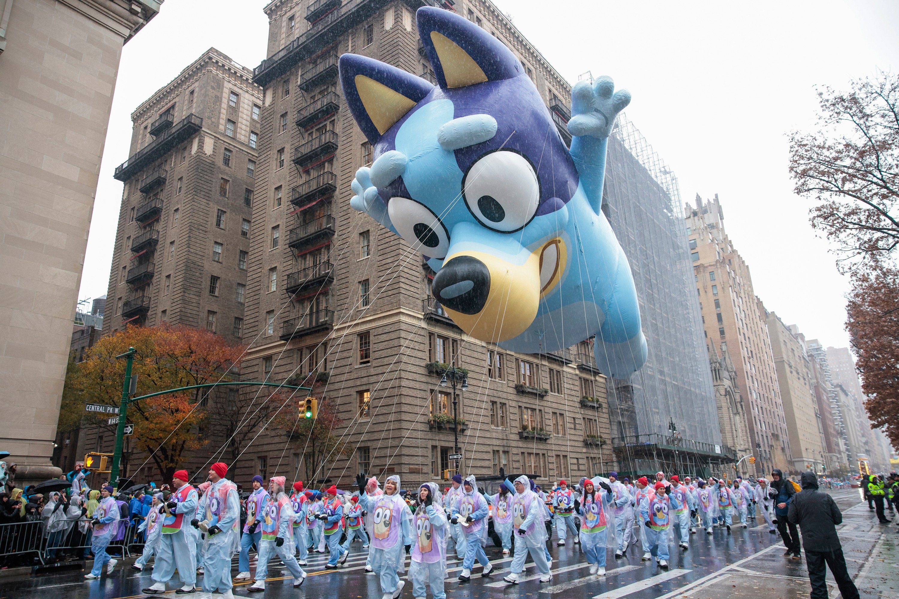 A Bluey balloon floats in New York’s annual Macy’s Thanksgiving Day Parade last month. Photo: Getty Images/TNS