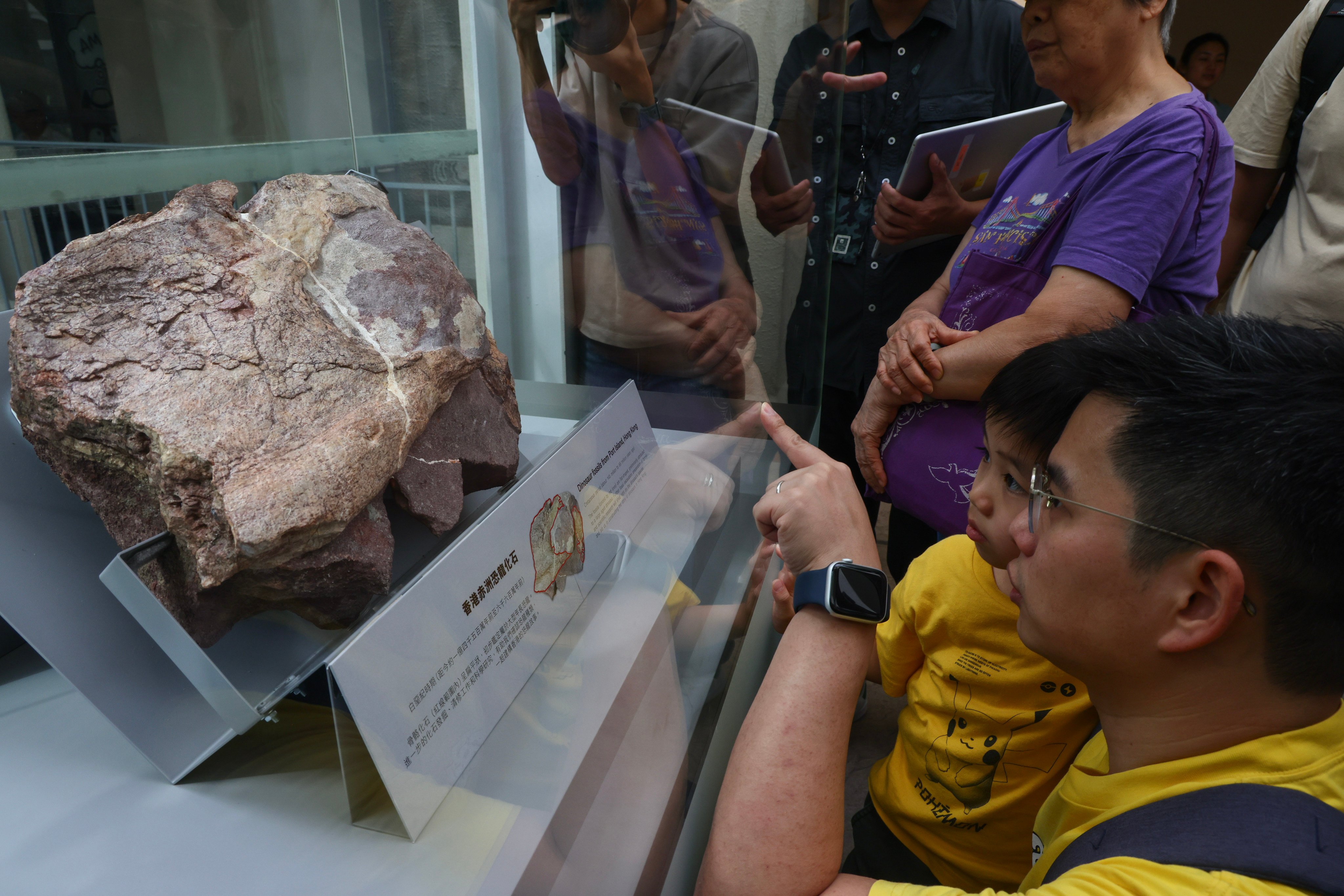 An earlier exhibition showcasing a dinosaur fossil found in Hong Kong. Photo: Dickson Lee