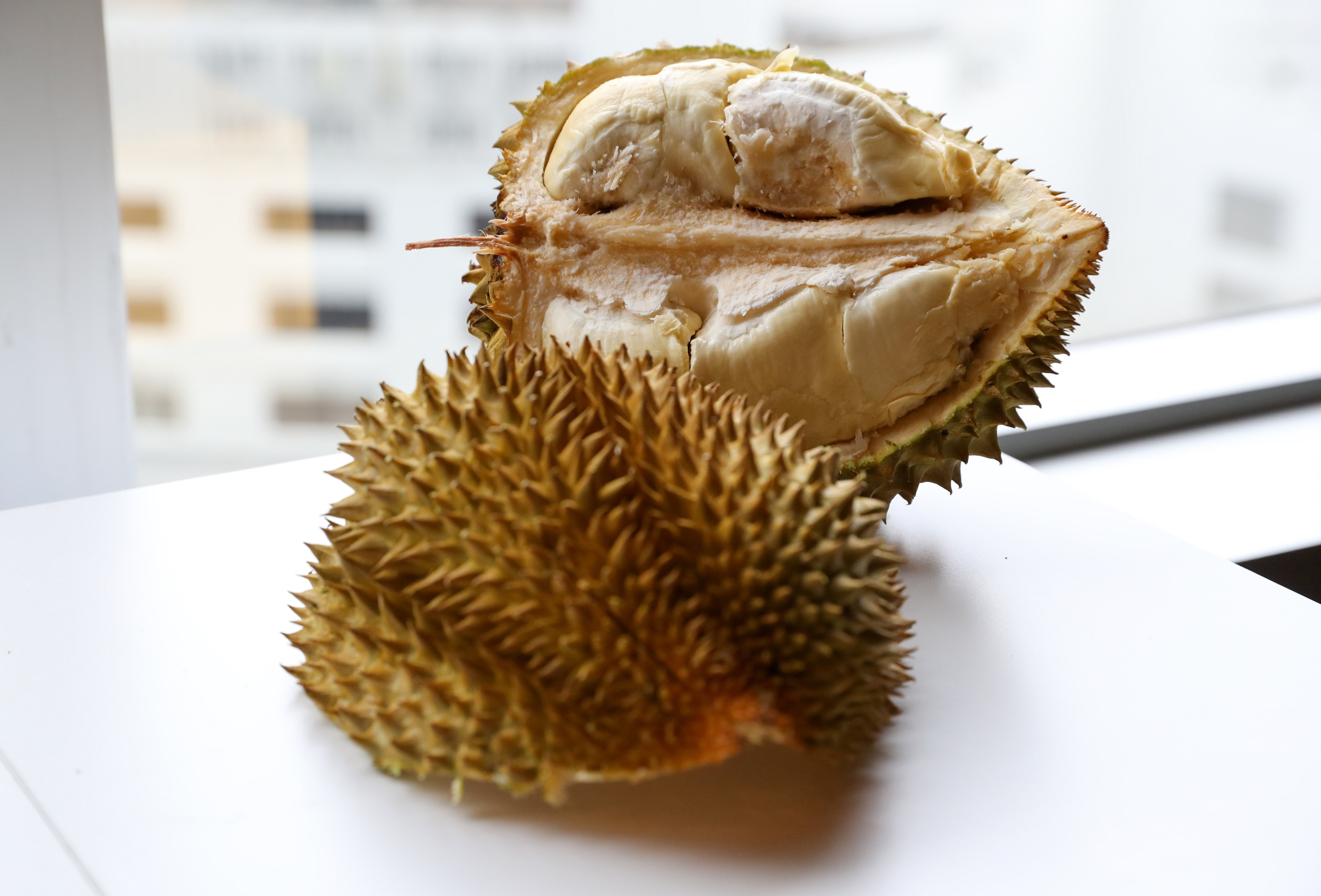 A study has found key differences between durian grown in China compared with Southeast Asia. Photo: Sun Yeung