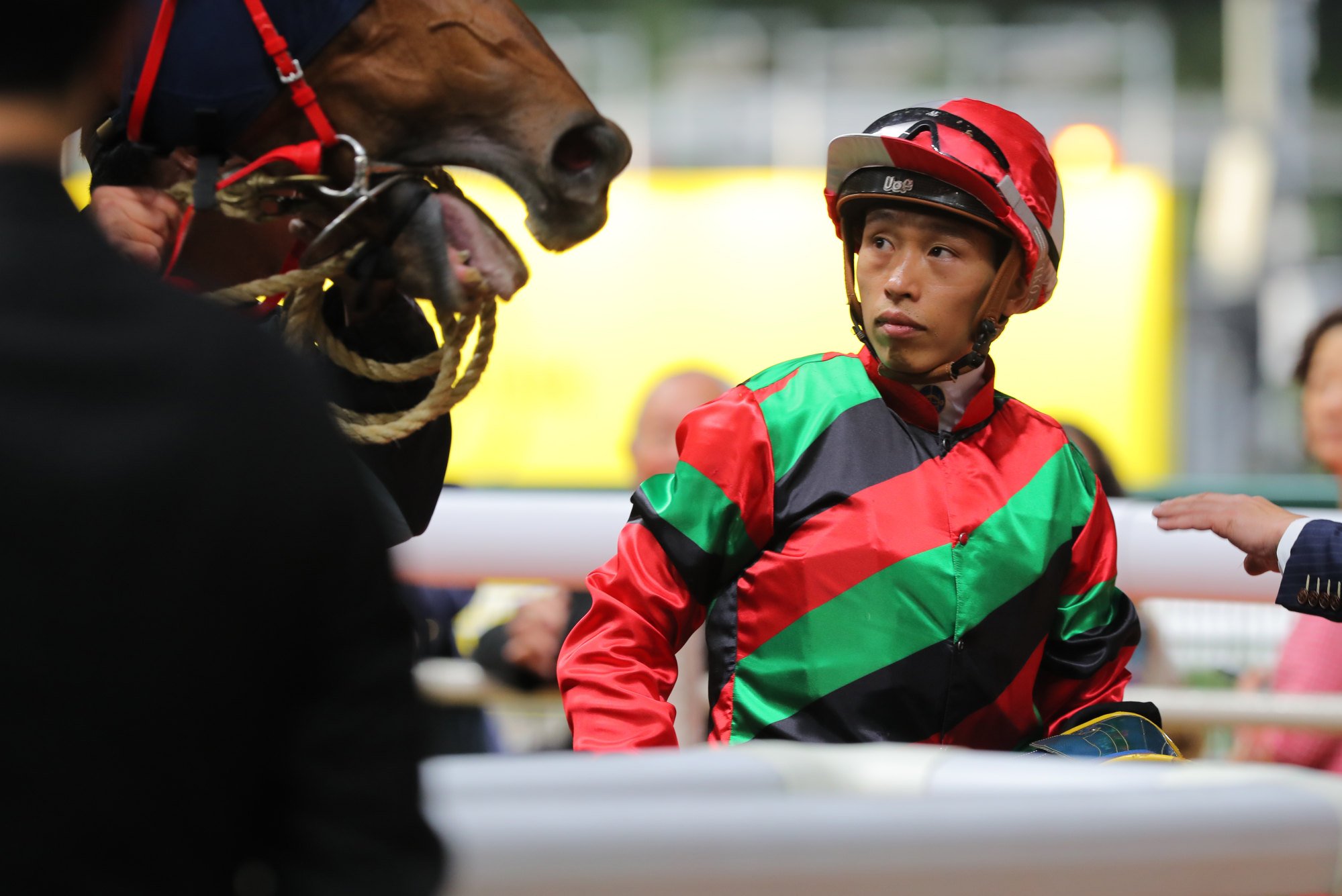 Vincent Ho will be sidelined from Sunday’s Sha Tin meeting with concussion.