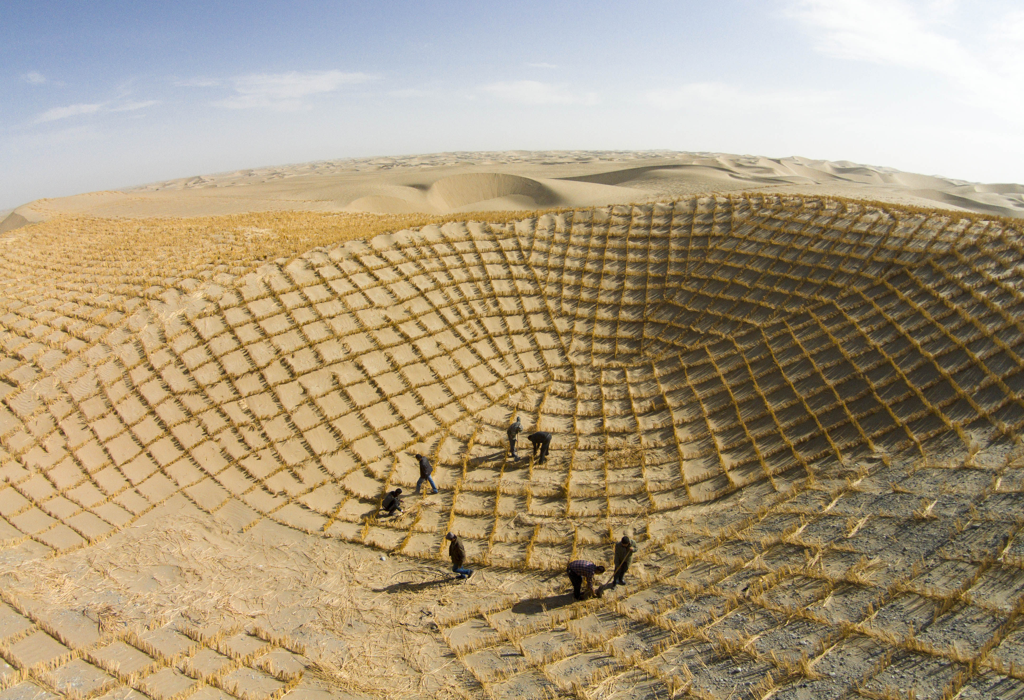 People fix straw checkerboards on sandy land in Qiemo County, northwest China’s Xinjiang Uygur Autonomous Region. Photo: Xinhua 