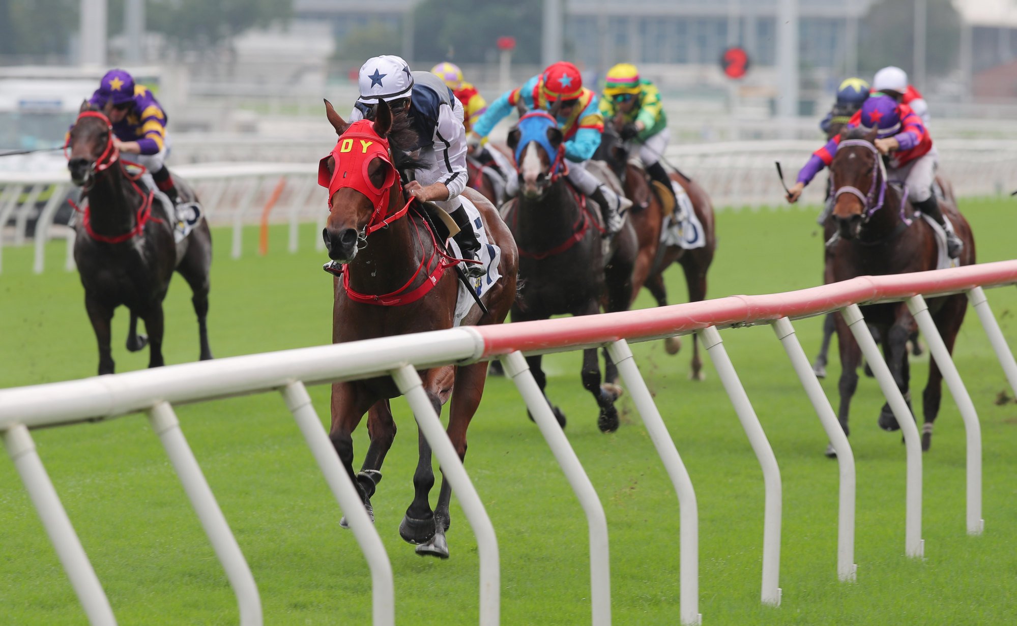 Fast Network surges to a dominant win in November over the Sha Tin 1,000m.