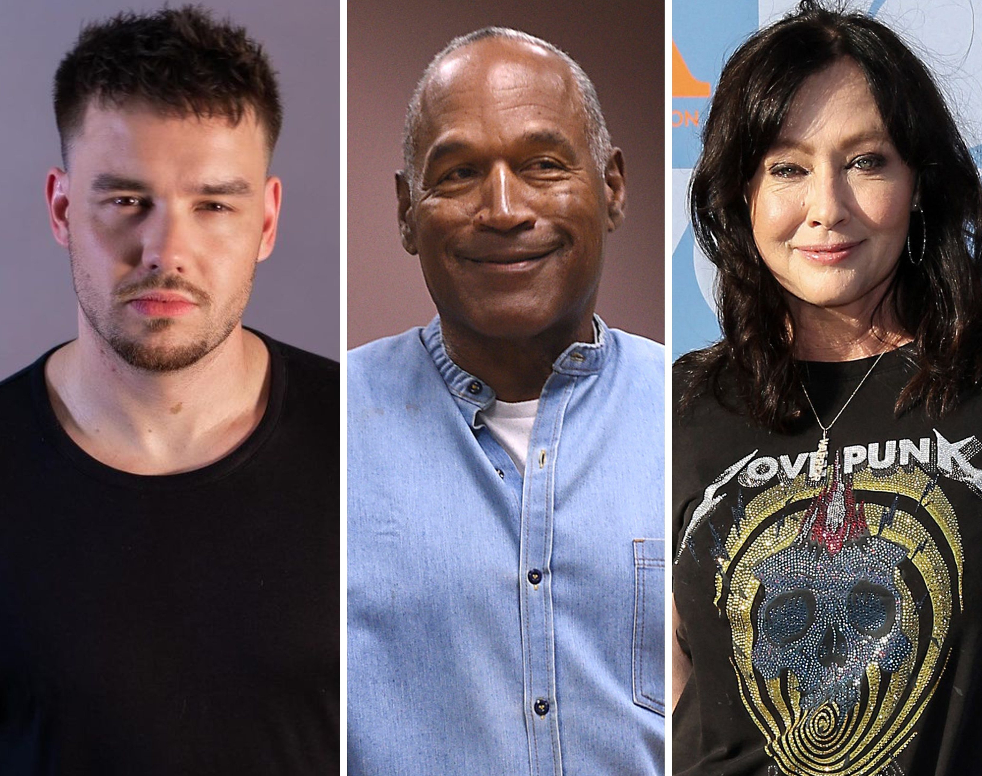 One Direction’s Liam Payne, O.J. Simpson and Shannen Doherty all passed away this year. Photos: @liampayne/Instagram, AP, AFP