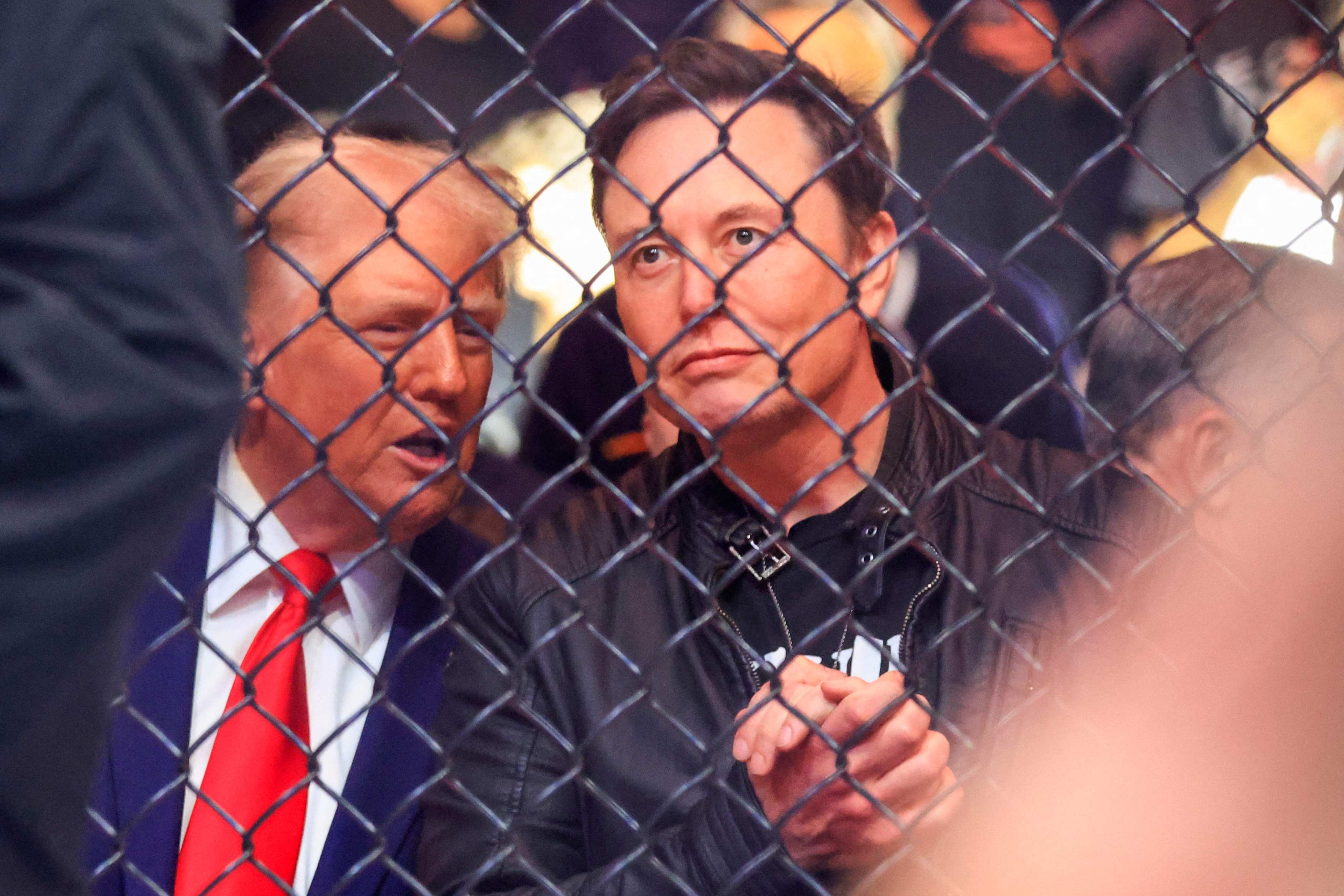 US president-elect Donald Trump and Tesla and SpaceX CEO Elon Musk watch a fight in New York in November. Photo: AFP