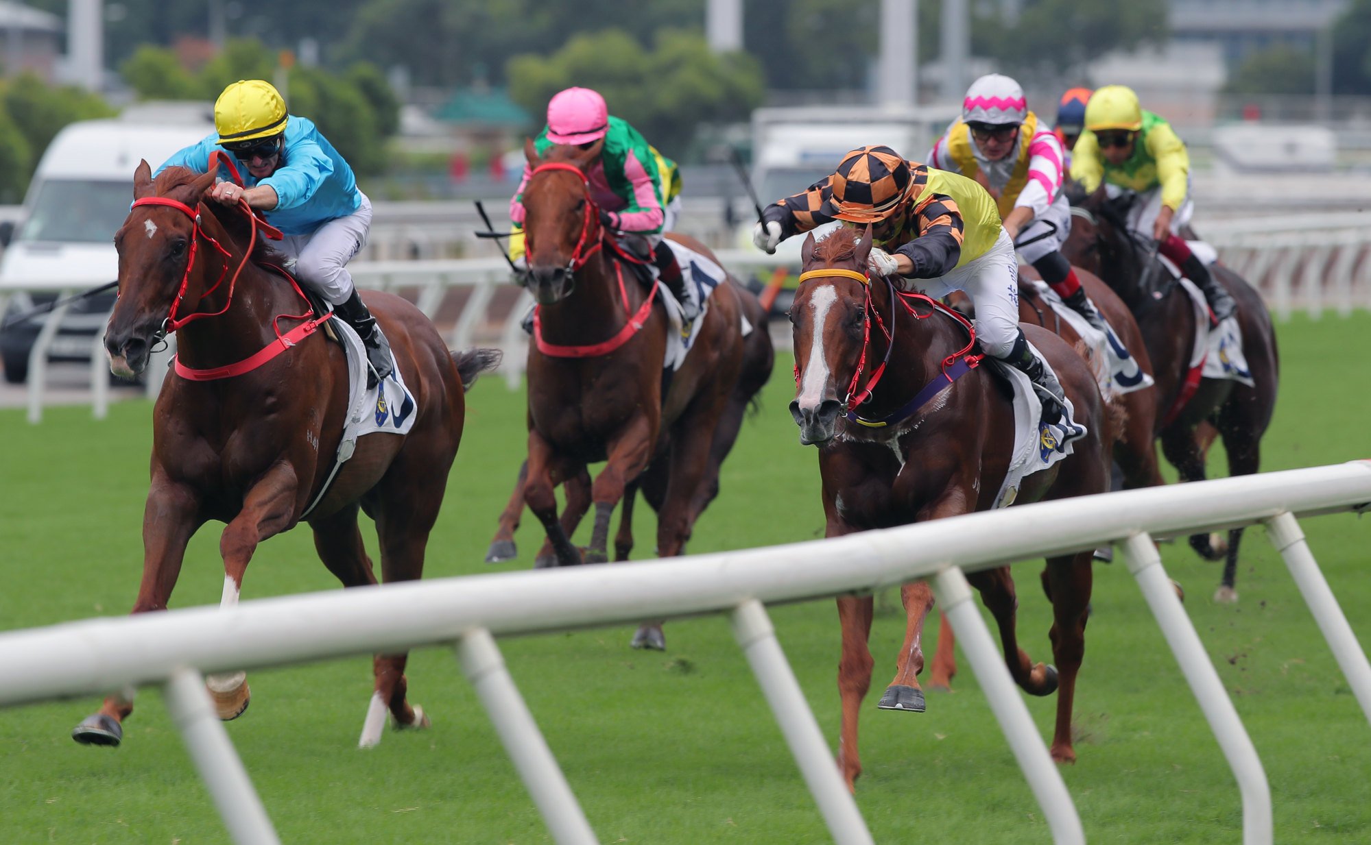 Wunderbar (left) runs second to Magic Control last start.