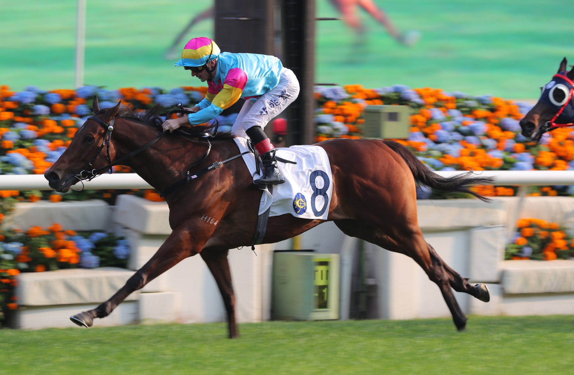 Taj Dragon wins the Group Three Chinese Club Challenge Cup (1,400m) last season under Andrea Atzeni.