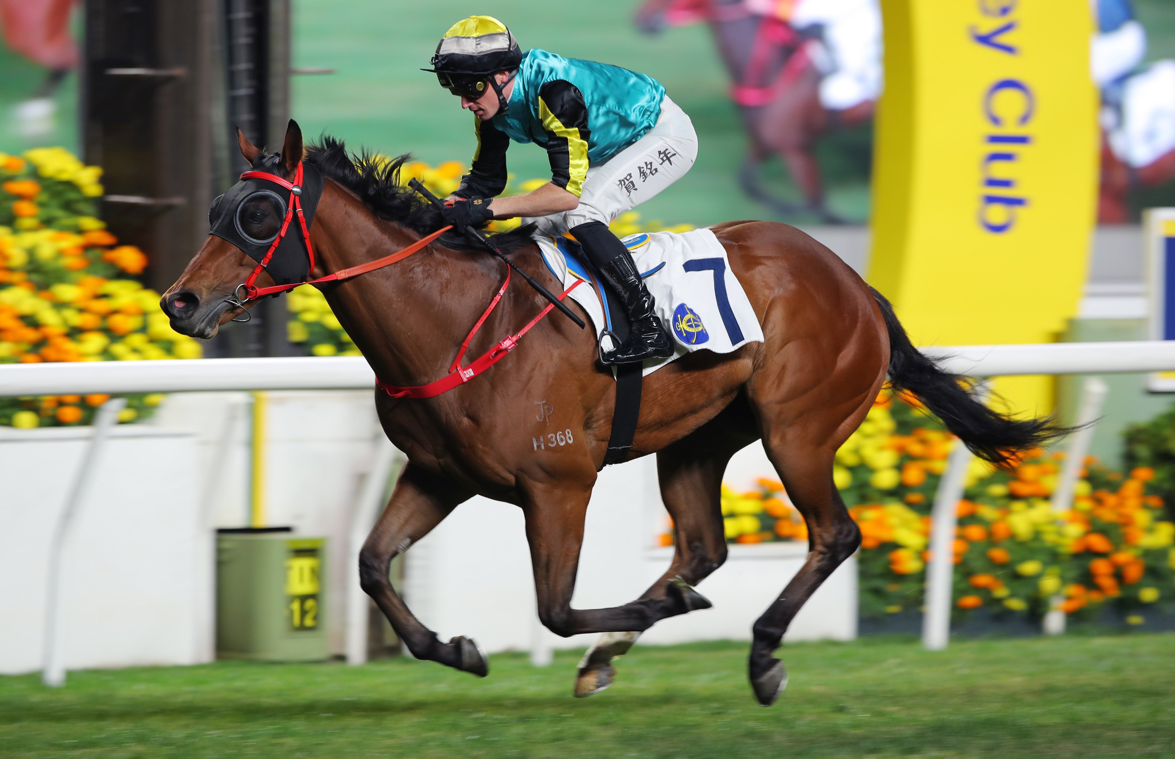 Antoine Hamelin lands his 100th Hong Kong winner aboard Raging Blizzard at Sha Tin on Sunday. Photos: Kenneth Chan