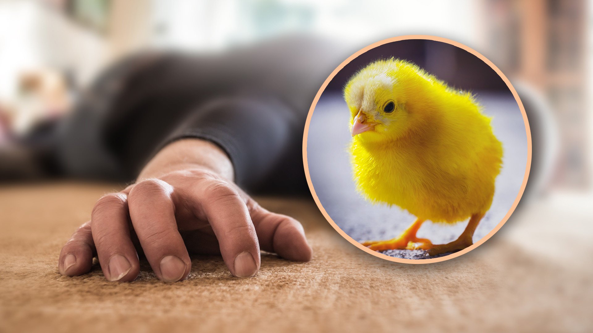 Local villagers believe that superstitions might have prompted the man to swallow the live chick. Photo: SCMP composite/Shutterstock