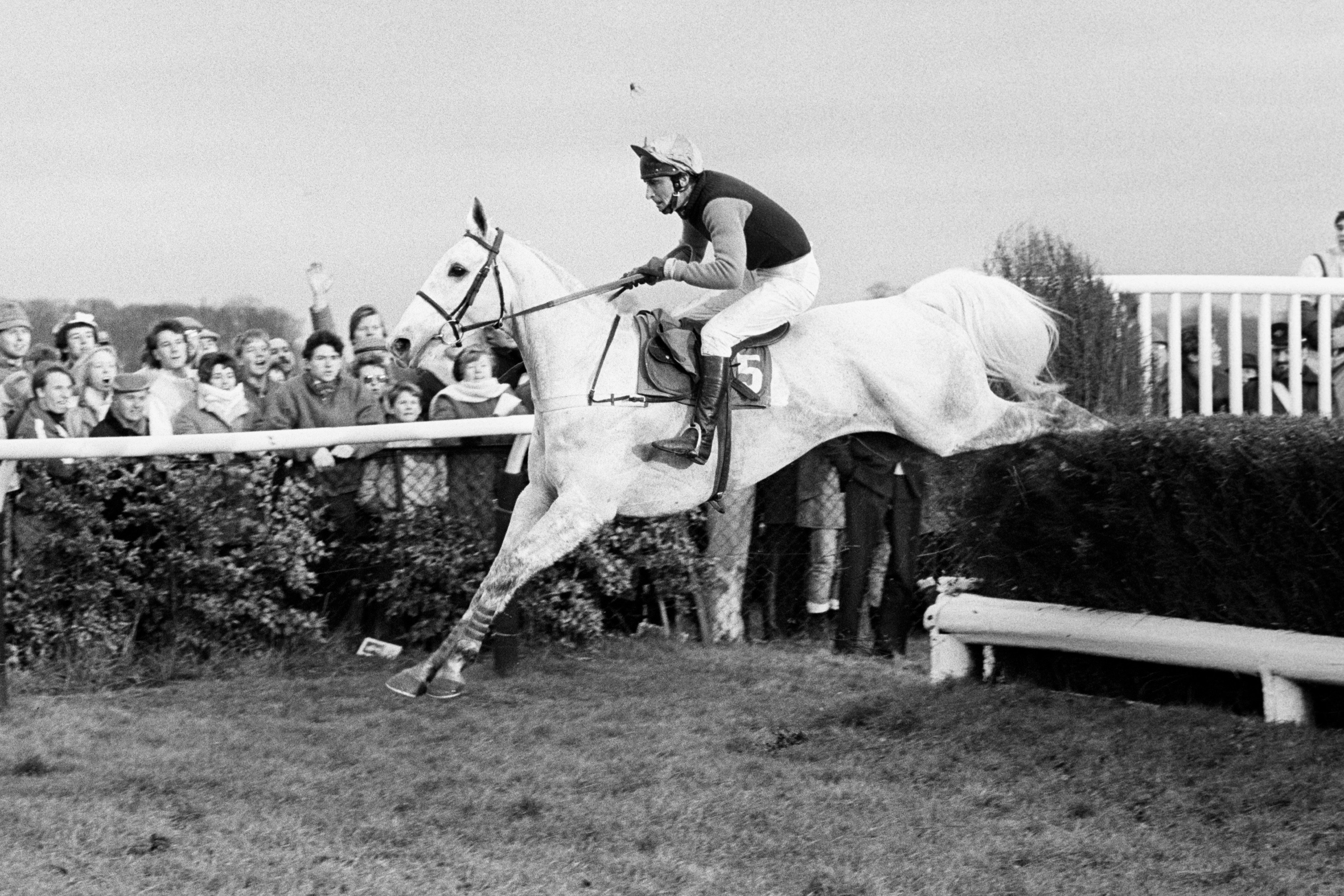 Desert Orchid, ridden by Simon Sherwood, wins the King George VI Steeple Chase at Kempton on Boxing Day 1986. Photo: Getty Images