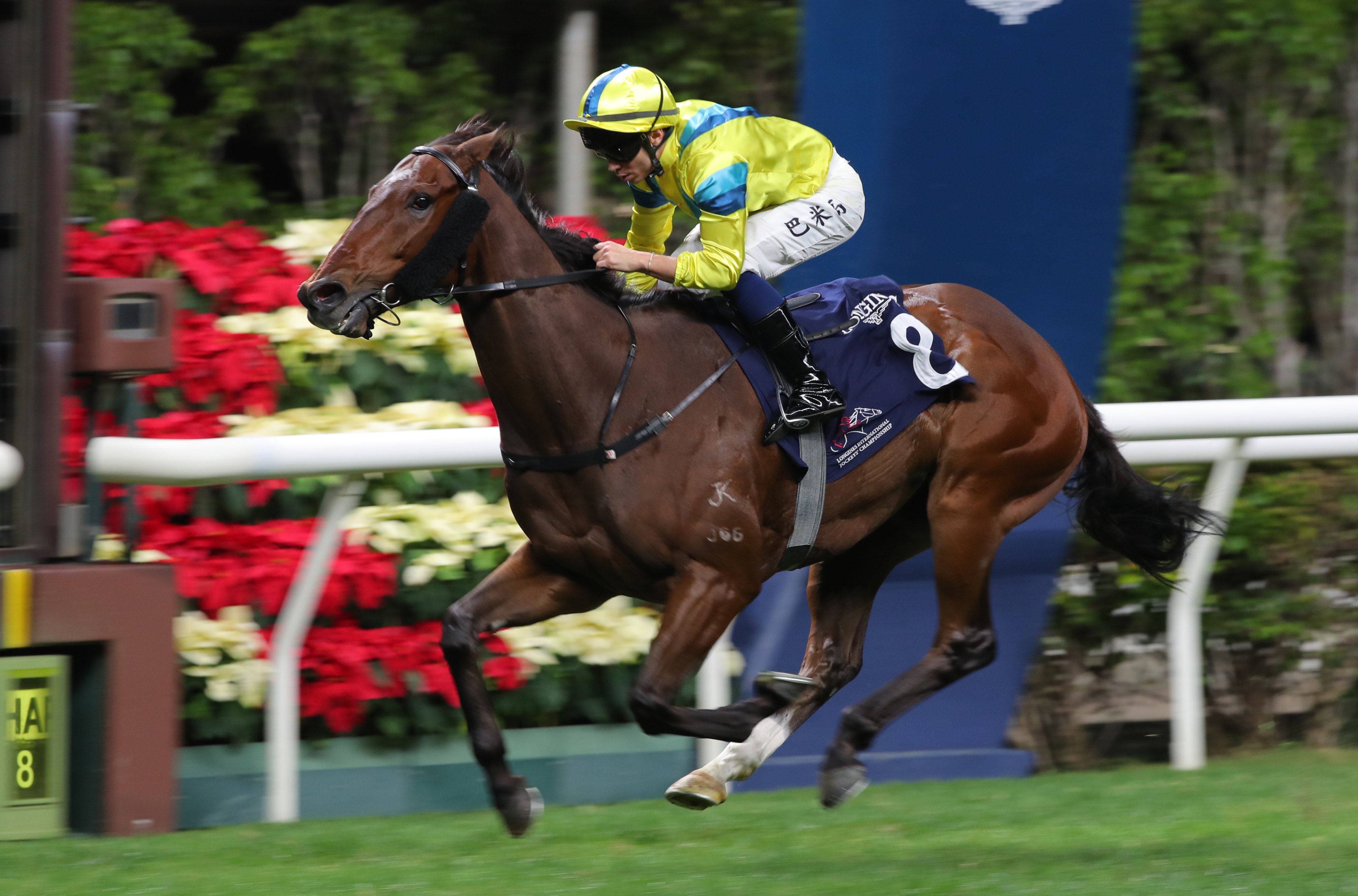 Aurora Lady bolts up in the final leg of the International Jockeys’ Championship on December 4. Photos: Kenneth Chan