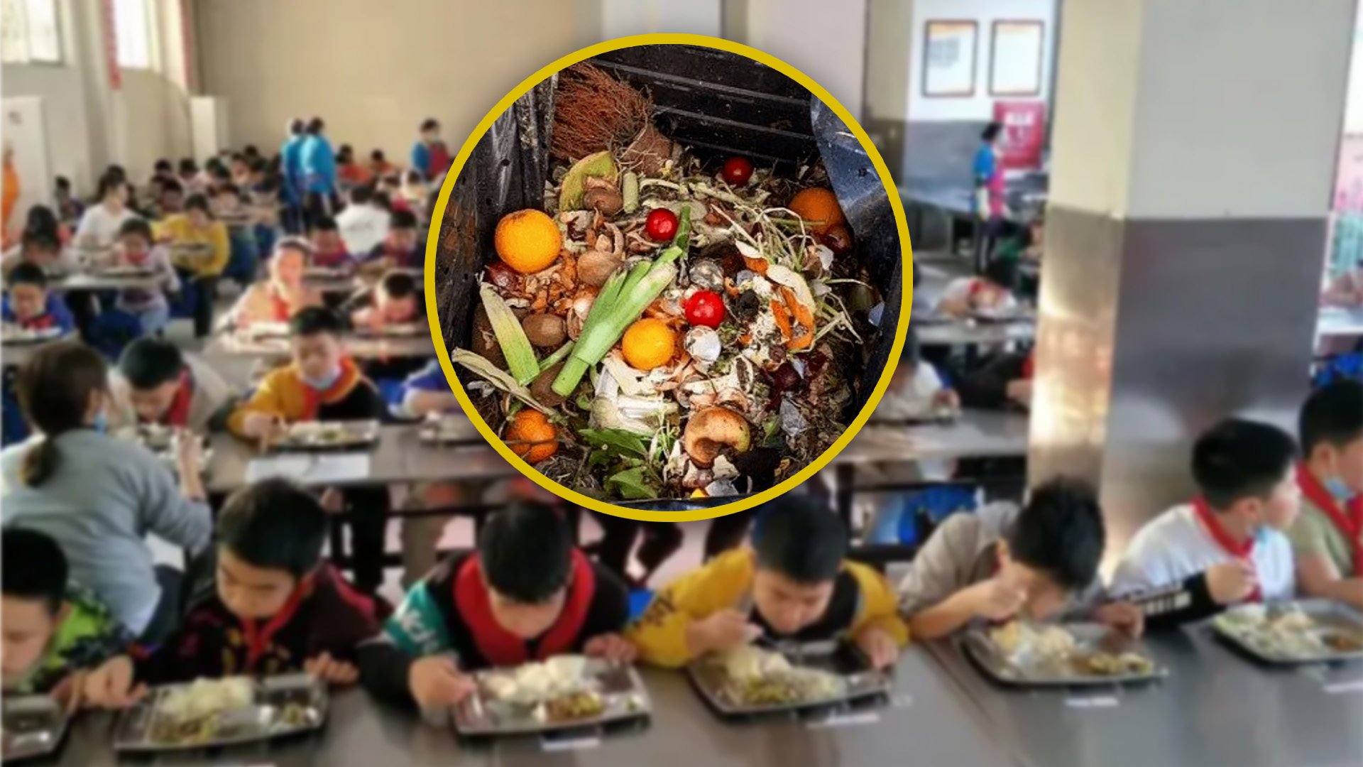 A school in China is being investigated for feeding students leftovers from a dog food bucket. Photo: SCMP composite/Sohu/Douyin