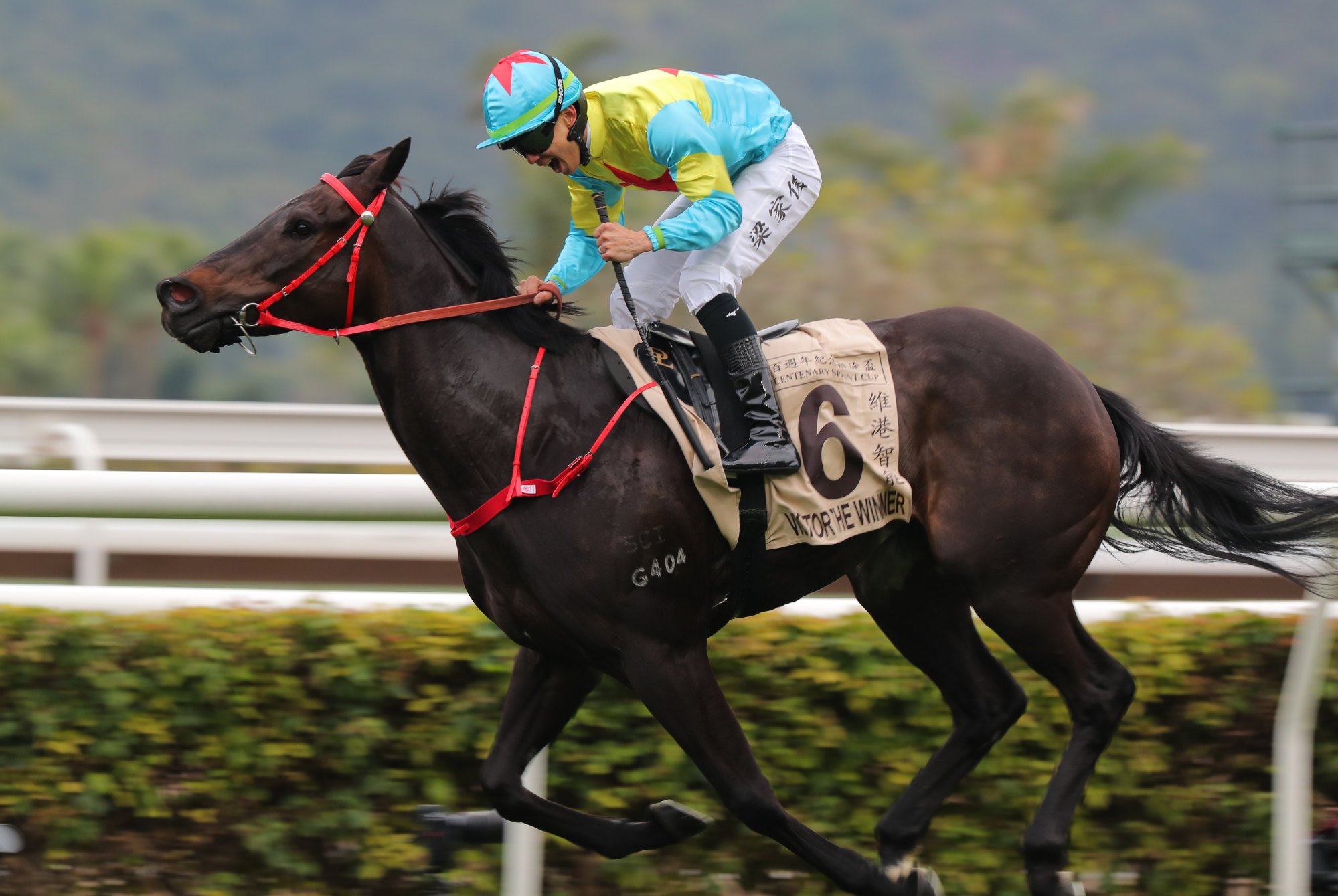 Victor The Winner claims the Centenary Sprint Cup last January.