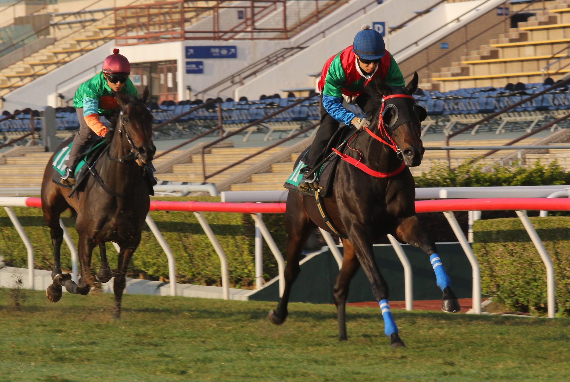 Money Catcher wins a Sha Tin trial on December 16.