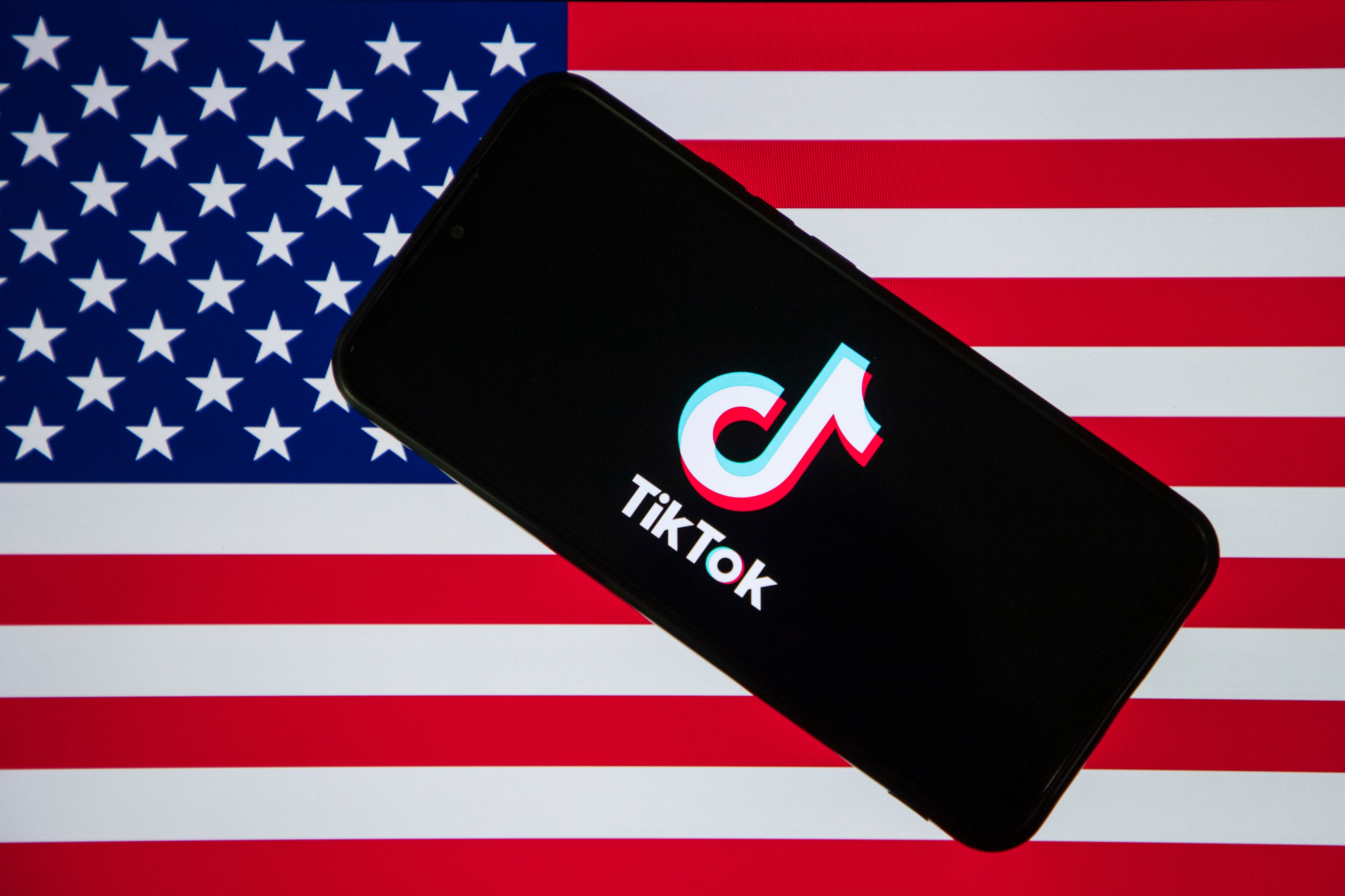 TikTok is challenging the US law that would require it to sell to a non-Chinese buyer or else face a ban. Photo: SOPA Images via ZUMA Press Wire/dpa