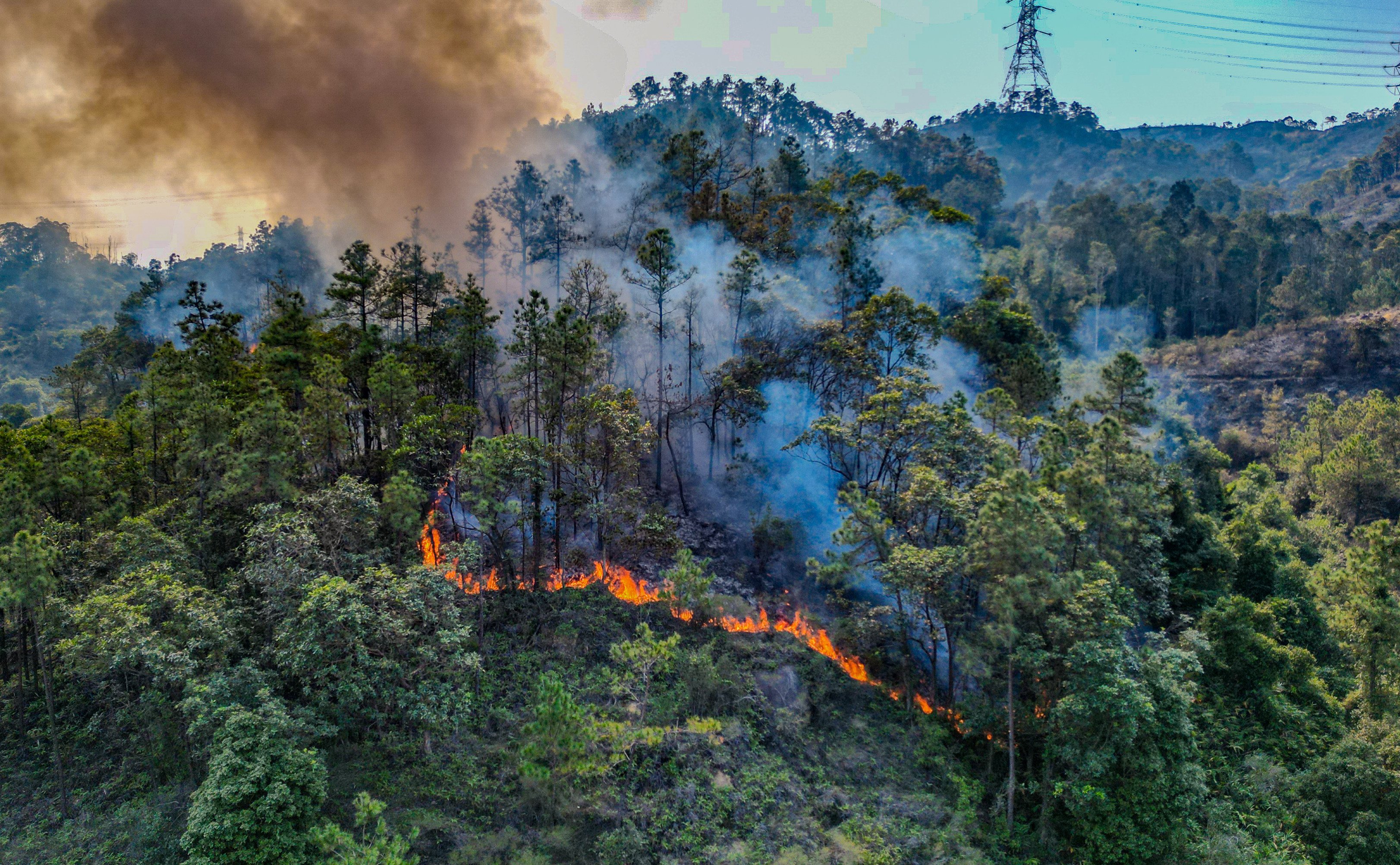 The blaze broke out on Saturday afternoon. Photo: Dickson Lee