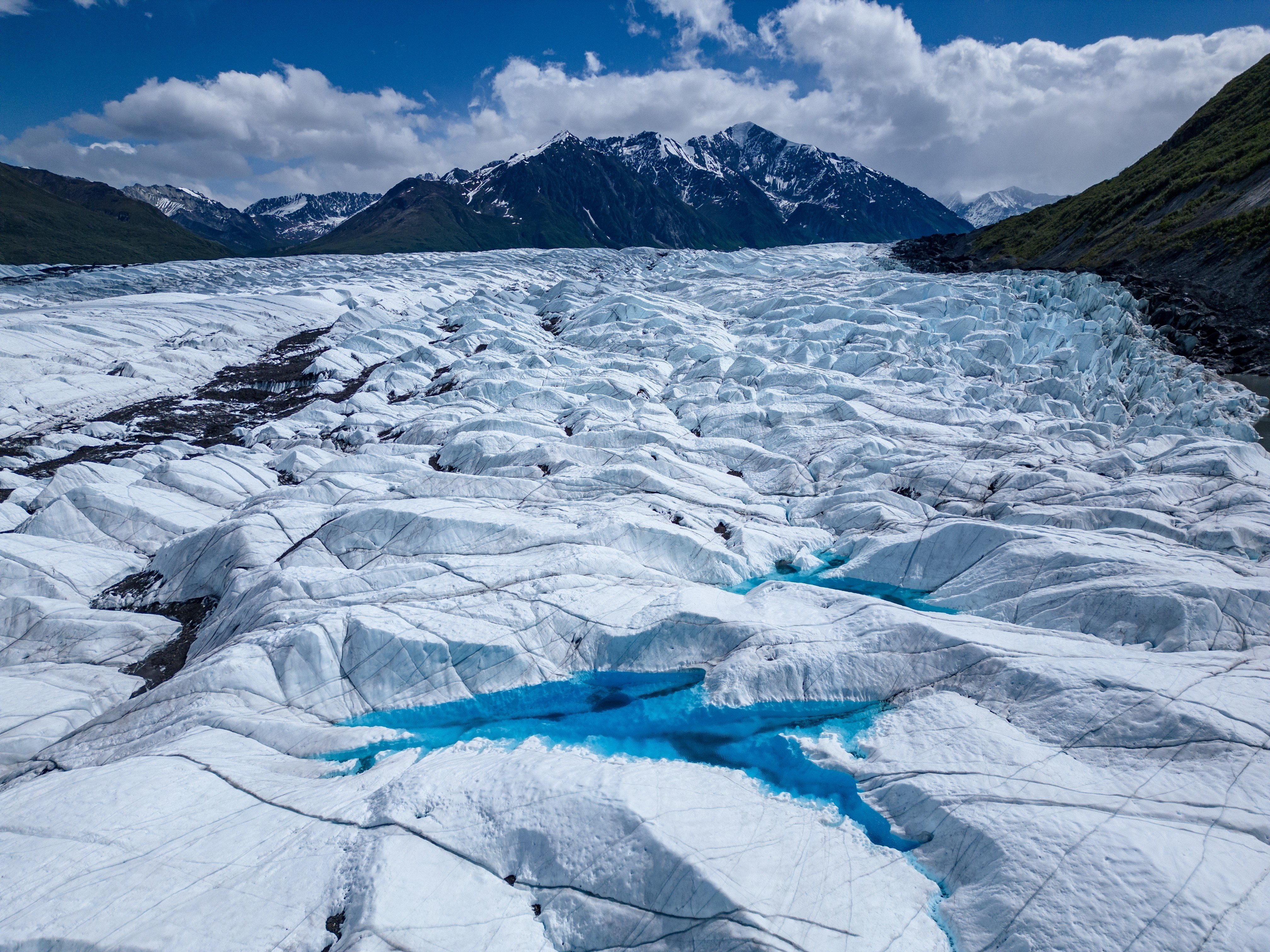 A new study tracks biodiversity during the period known as the “boring billion”, the global ice age that followed it and the subsequent shake-up in evolutionary history. Photo: Shutterstock