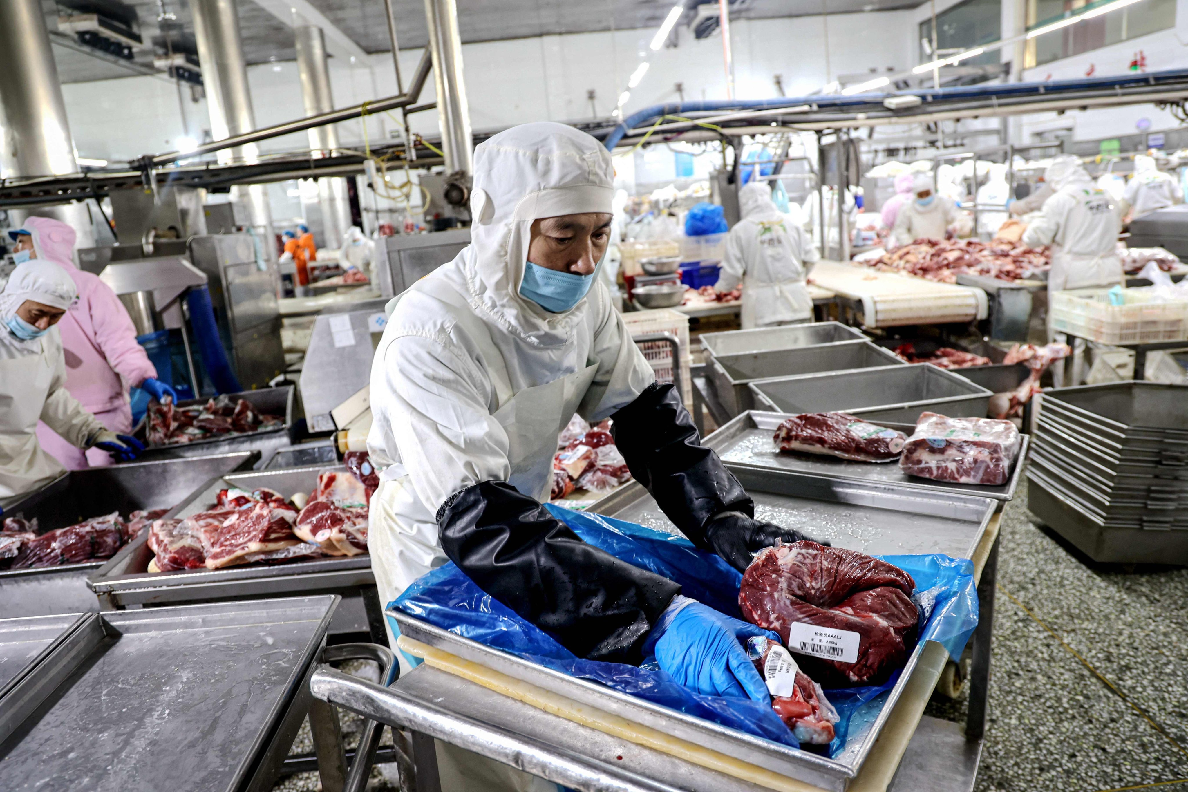 China’s beef industry, struggling with a steep drop in prices, has called for an investigation into a surge of inexpensive imports. Photo: AFP