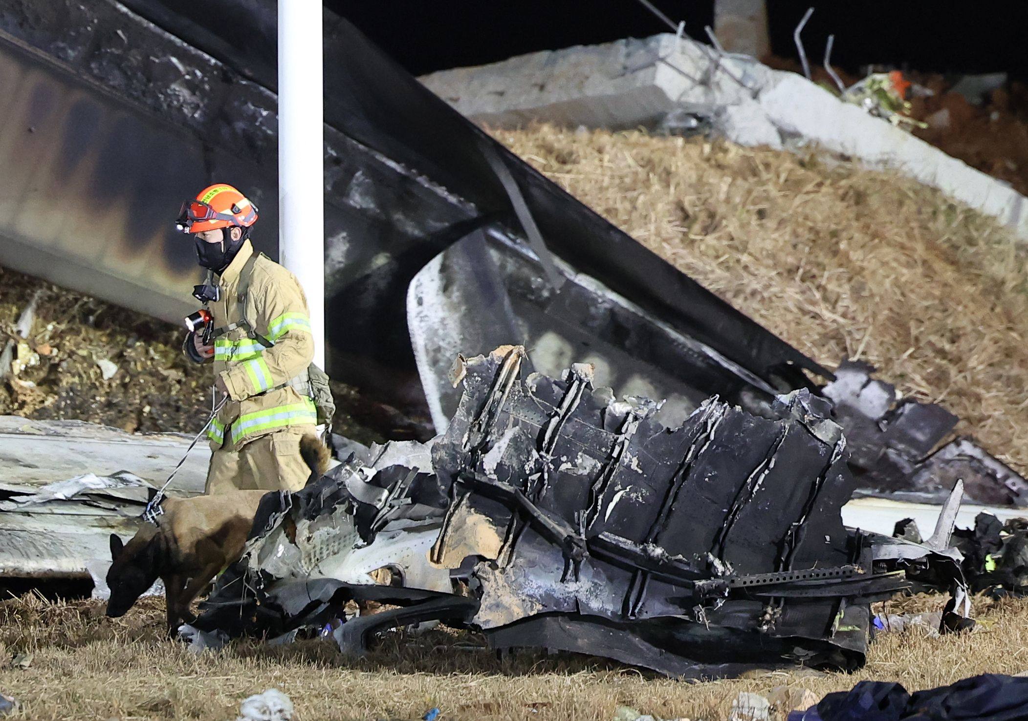 A firefighter and a dog work near the scene where a Jeju Air Boeing 737-800 series aircraft crashed and burst into flames at Muan International Airport in South Jeolla Province, some 288 kilometres southwest of Seoul, on December 29. Photo: AP