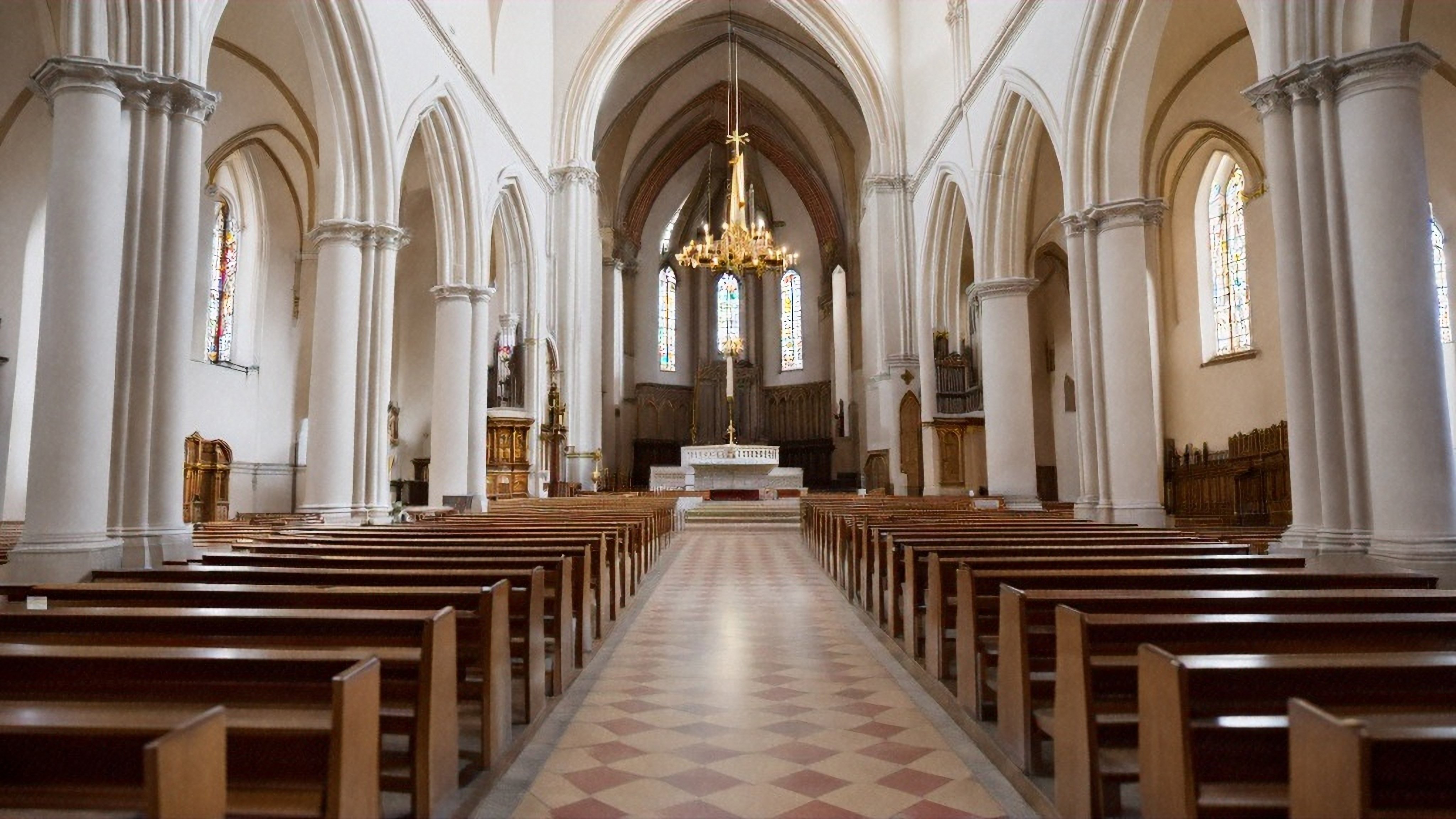 Unique church services in Hong Kong are honouring beloved pets with heartfelt funerals. Photo: Shutterstock 