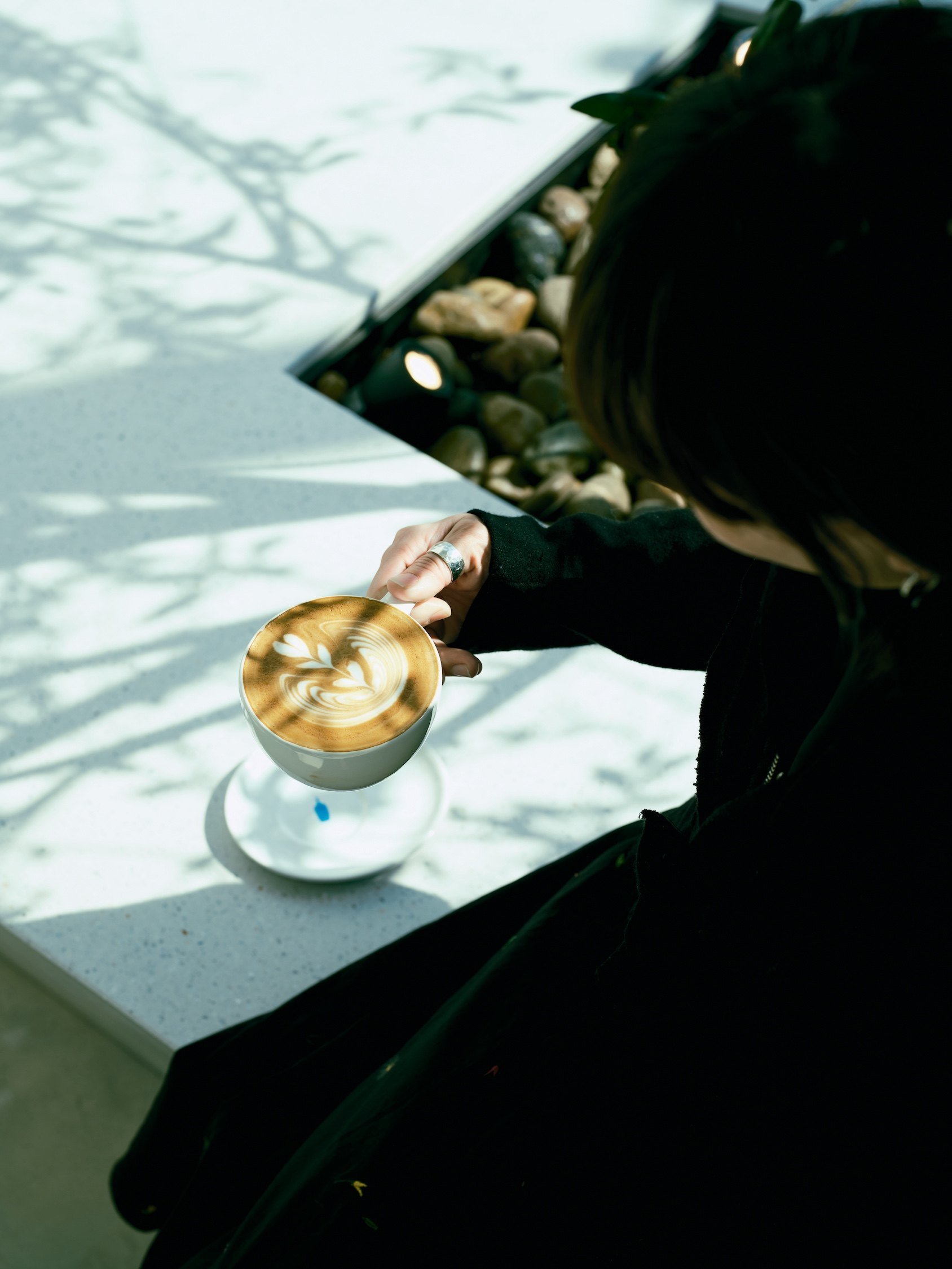 The new Blue Bottle Coffee in Tung Chung has plenty of natural light. Photo: Blue Bottle Coffee