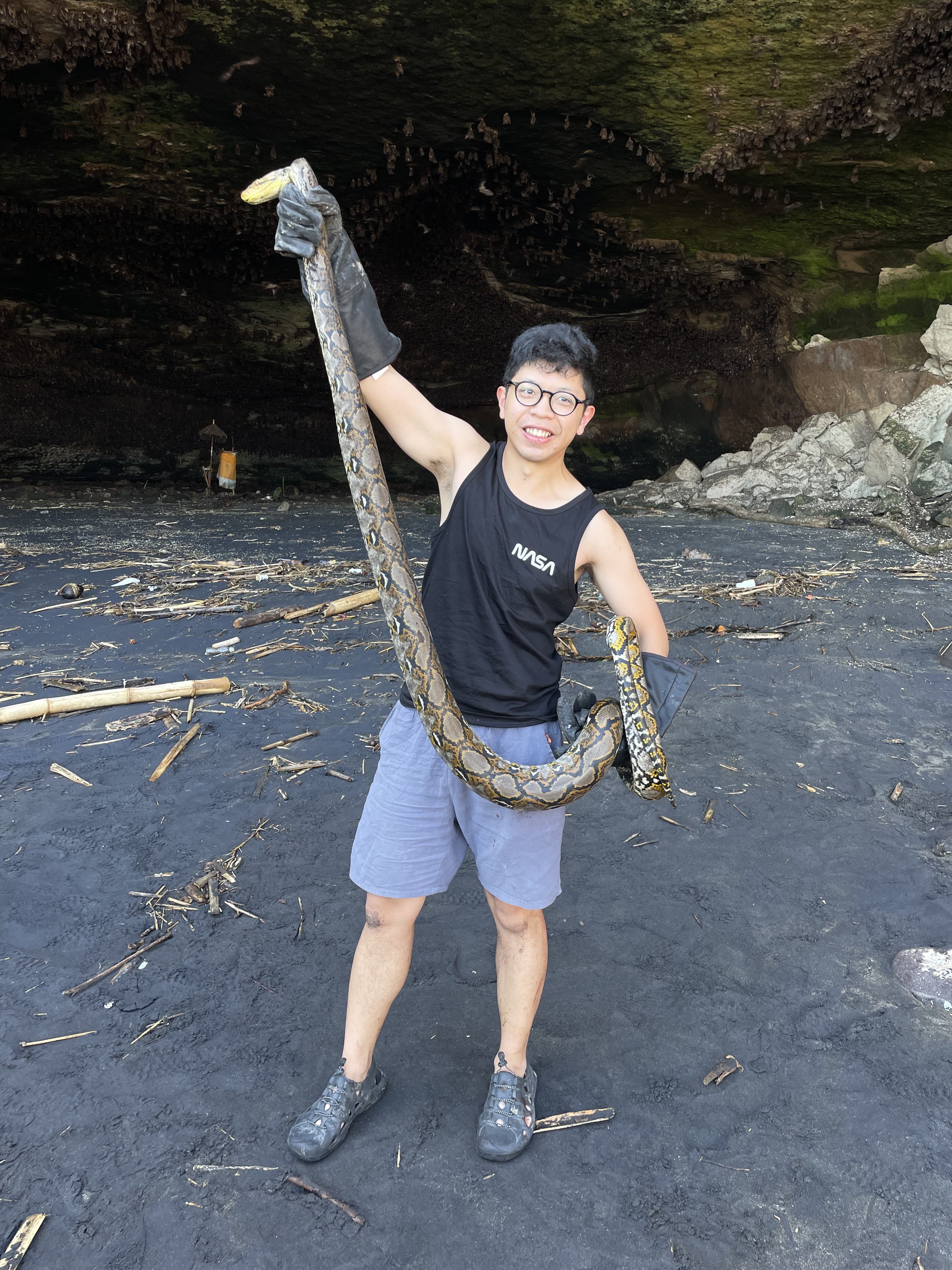 Hong Kong snake catcher Sun Tak-hei encountered a reticulated python in Bali in July 2023. Photo: courtesy of Sun Tak-hei
