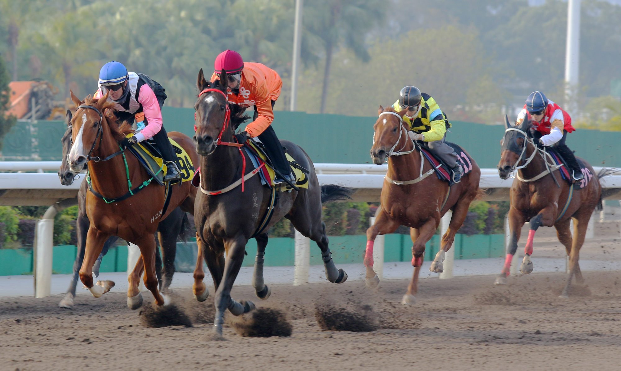 Beauty Waves (left) and Howdeepisyourlove (centre) trial at Sha Tin on December 24.