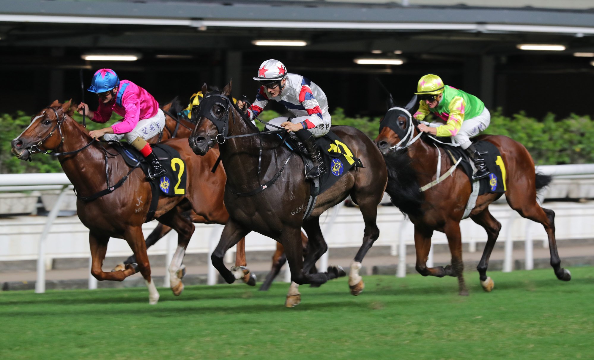 Speedy Fortune (inside) runs second to Double Show at the Valley in October.