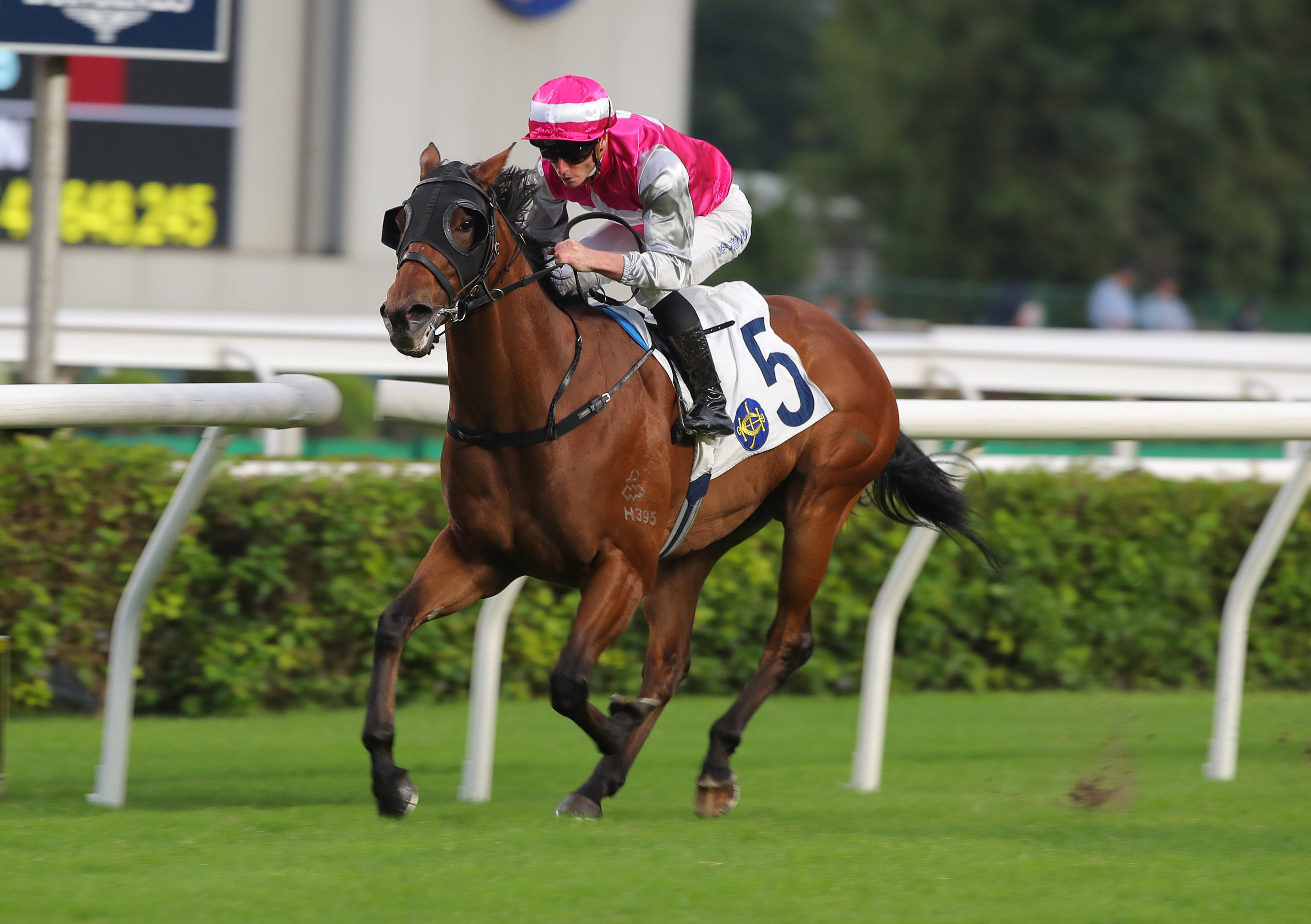 James McDonald boots home Swift Ascend on November 24. Photos: Kenneth Chan