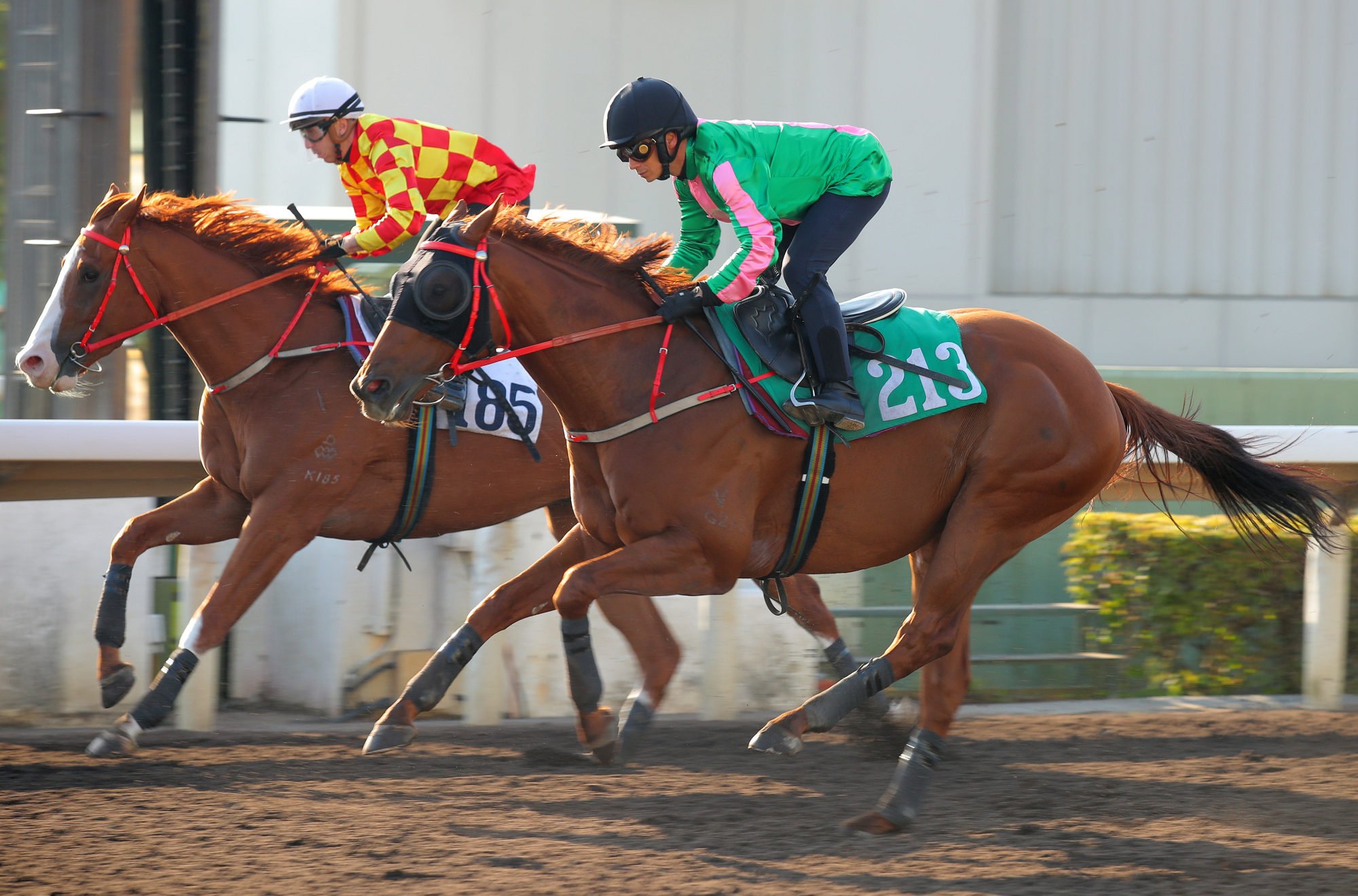 Bundle Of Charm (outside) in a dirt trial on New Year’s Eve.