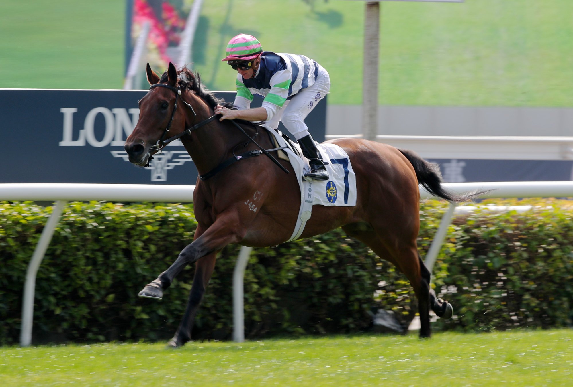 Packing Angel scores his first win at start four.