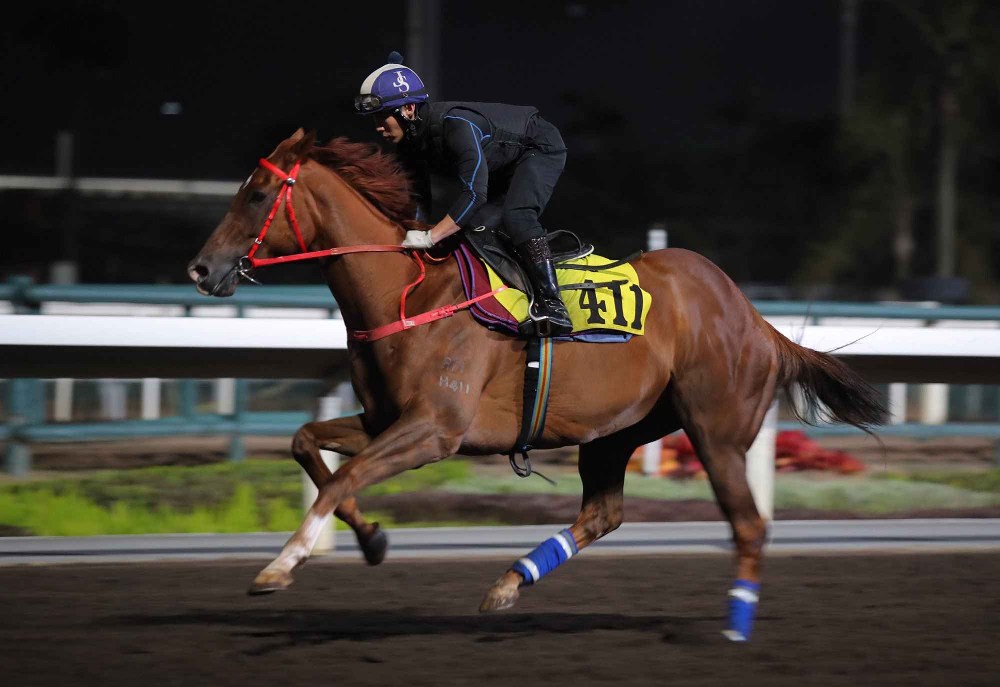 Wunderbar gallops on the dirt on Thursday.