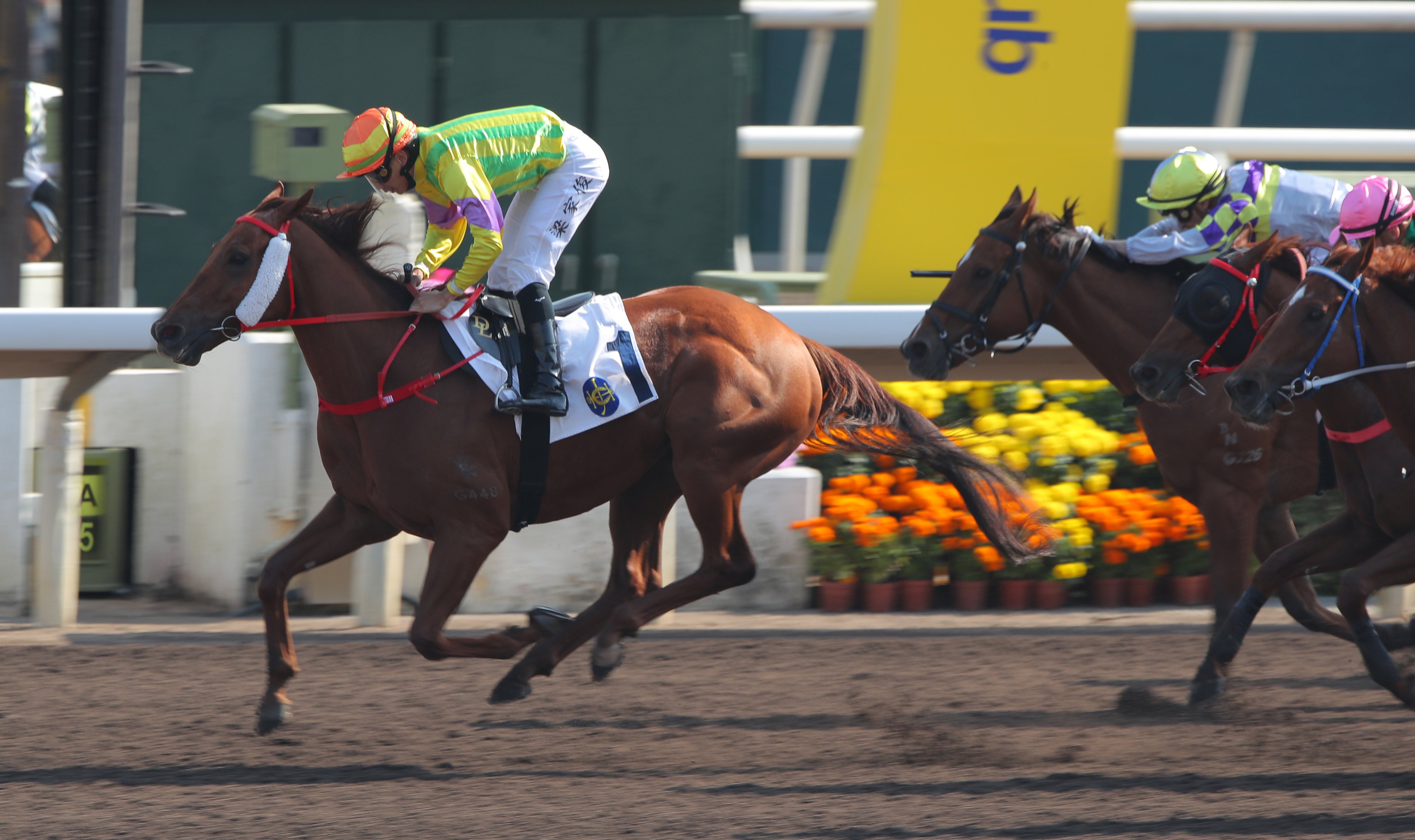 Derek Leung steers Sword Point to success at Sha Tin on Sunday. Photos: Kenneth Chan