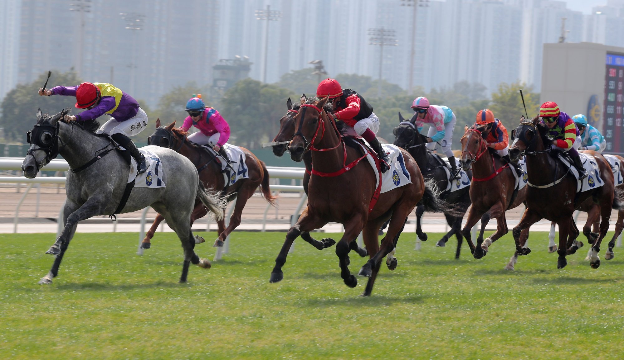 Country Dancer (outside) just gets the better of Sterling Wongchoy in a tight finish.