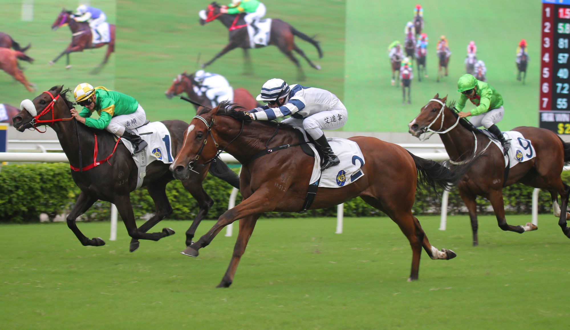 Rubylot (outside) guns down Bottomuptogether to win on September 28.