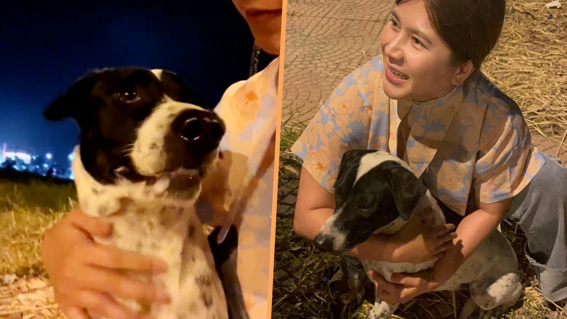 A woman in Thailand has warmed the hearts of millions of people online by comforting a frightened dog during a fireworks display at New Year. Photo: SCMP composite/TikTok