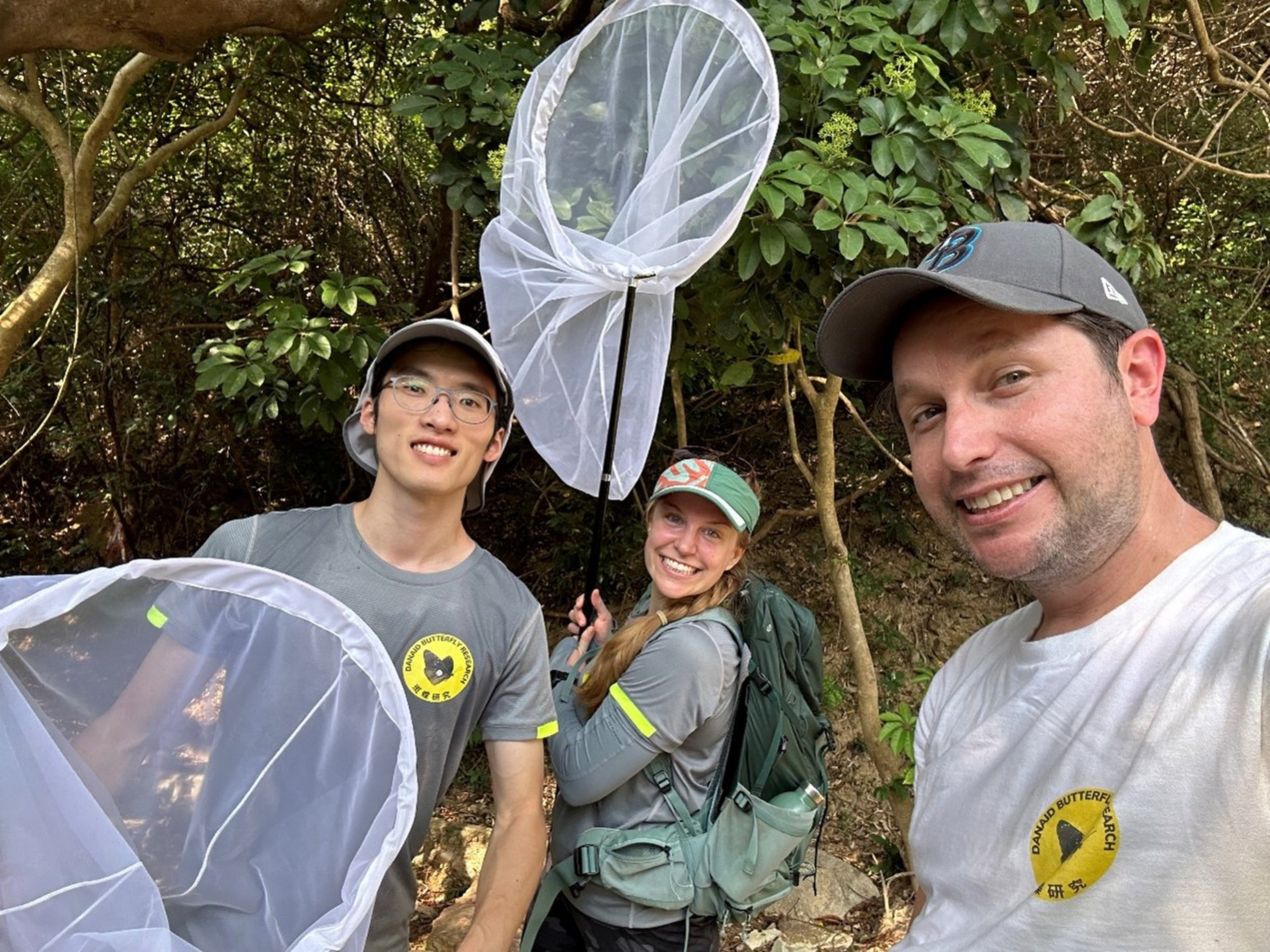 Researchers discovered a chestnut tiger butterfly from Japan, which set a world record with a 3,000km migration to Hong Kong. Photo: Handout