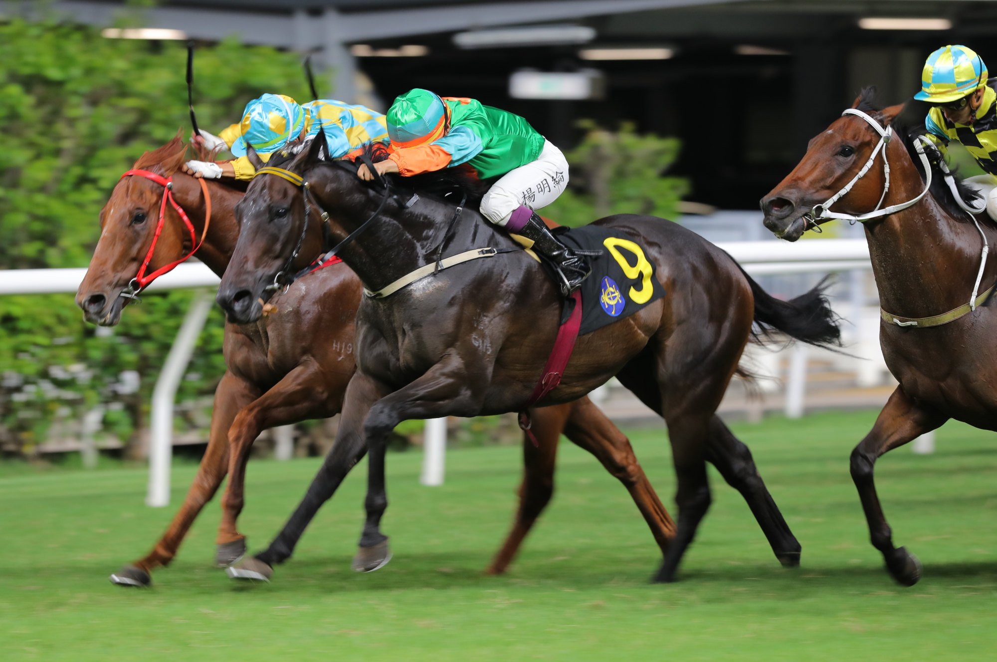 Flamingo Trillion (inside) is narrowly denied by Woodfire Bro at Happy Valley.