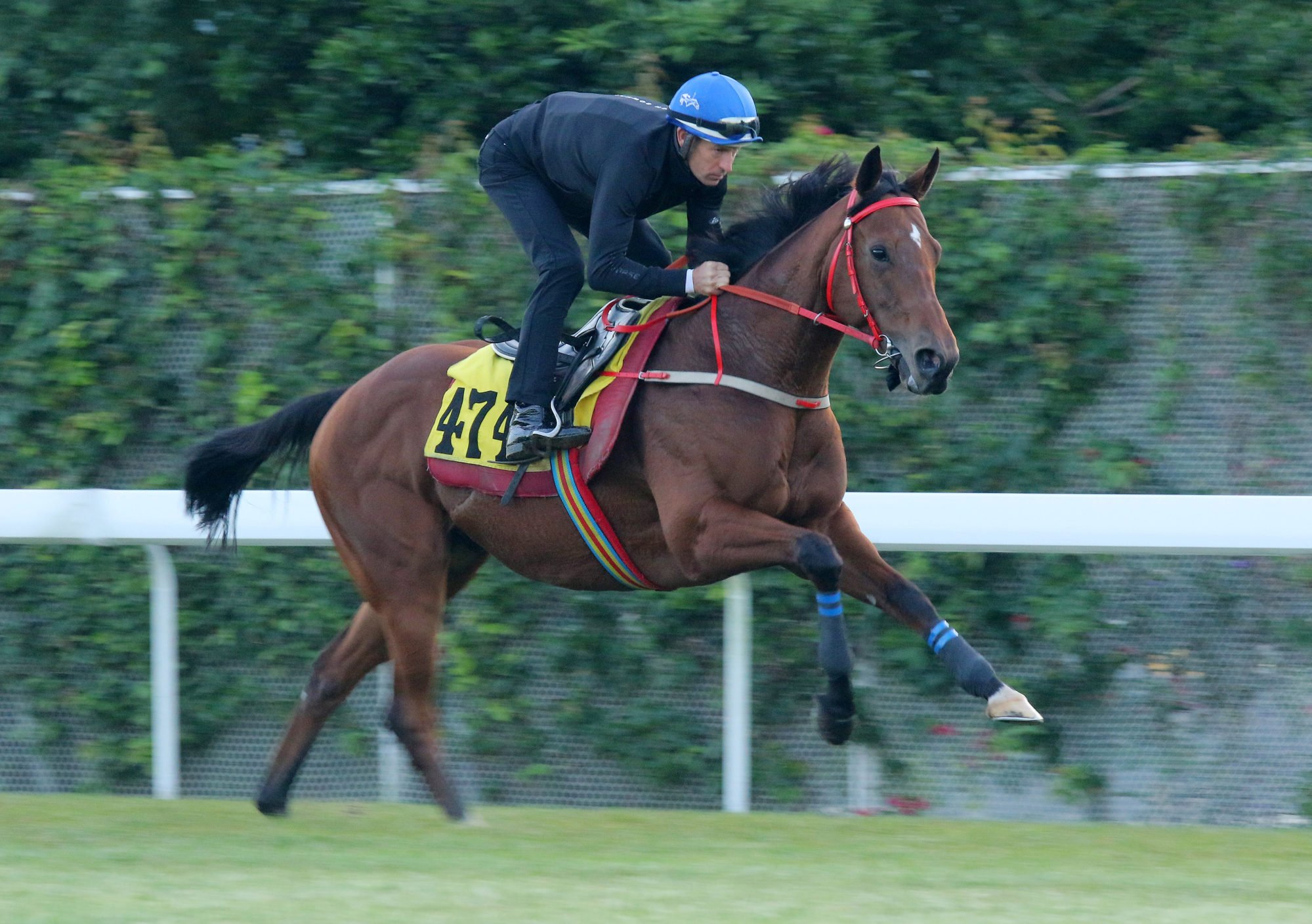 Hugh Bowman gallops Moments In Time on the Sha Tin turf last month.