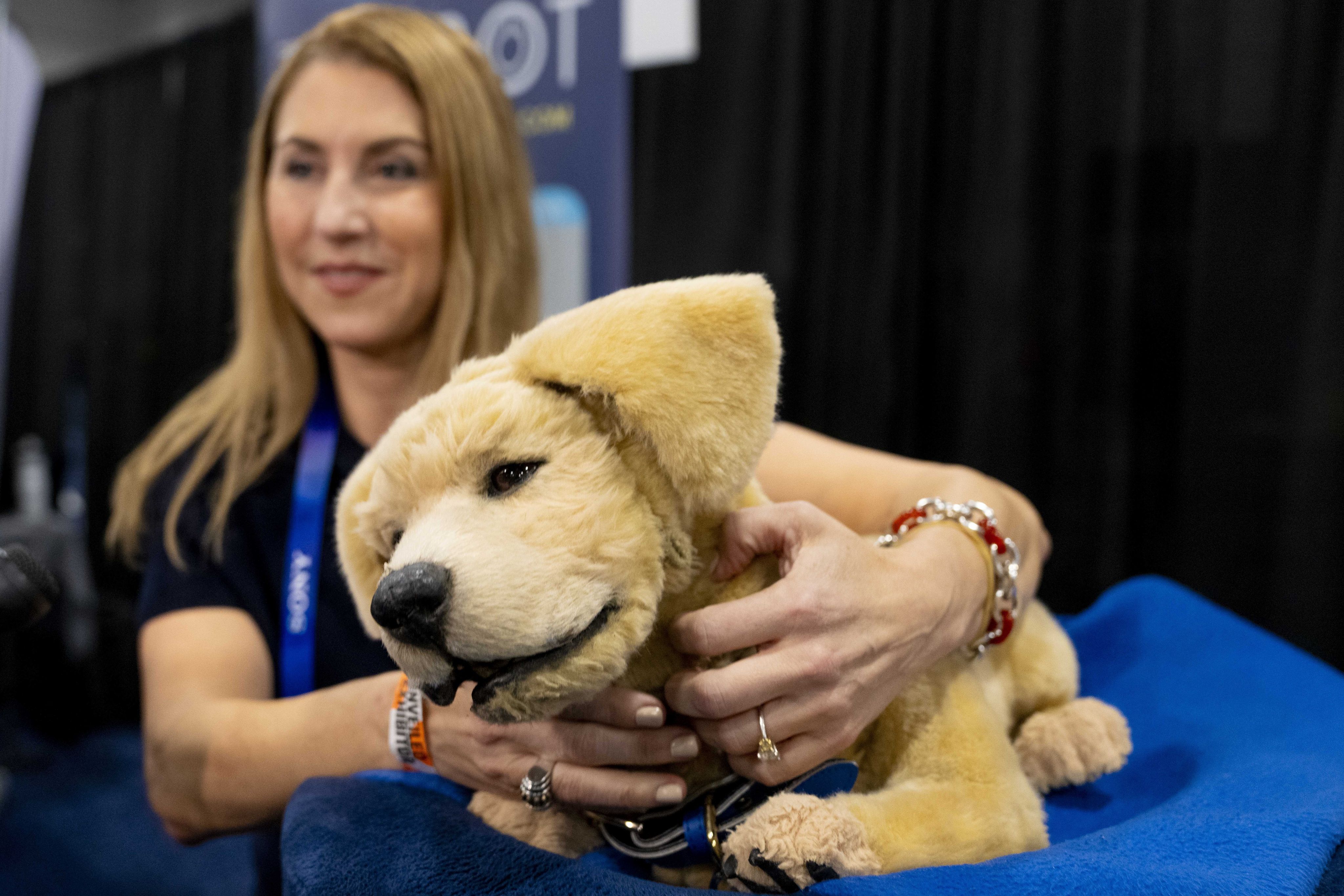 Tombot, a robotic dog for people who cannot have a real pet, is on show at CES 2025, the consumer electronics trade show in Las Vegas, in the United States. Photo: AP