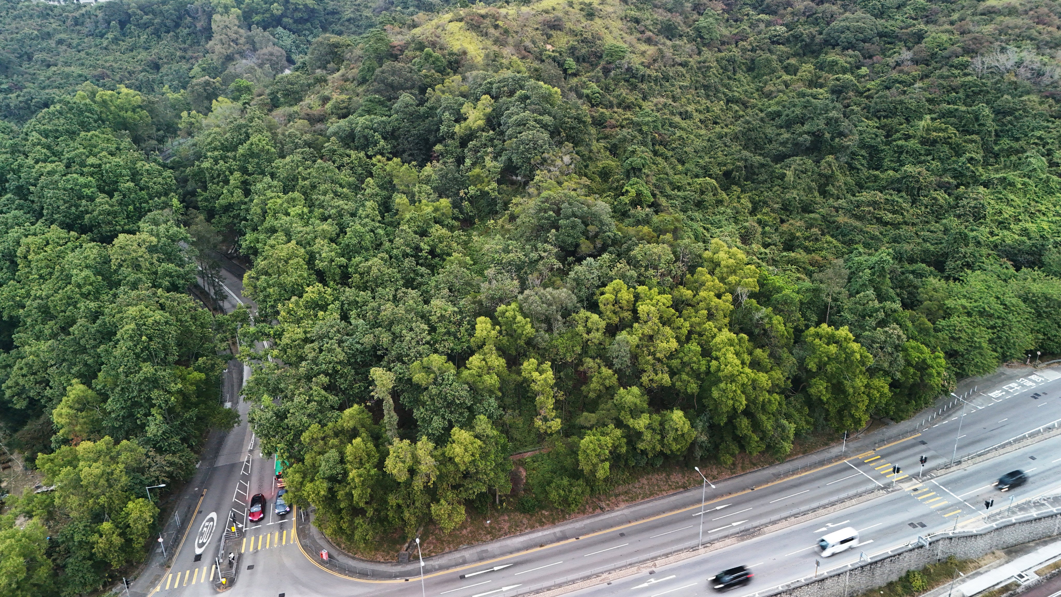 The proposed housing project would be built on two sites along Lo Fai Road and Ting Kok Road. Photo: Jelly Tse