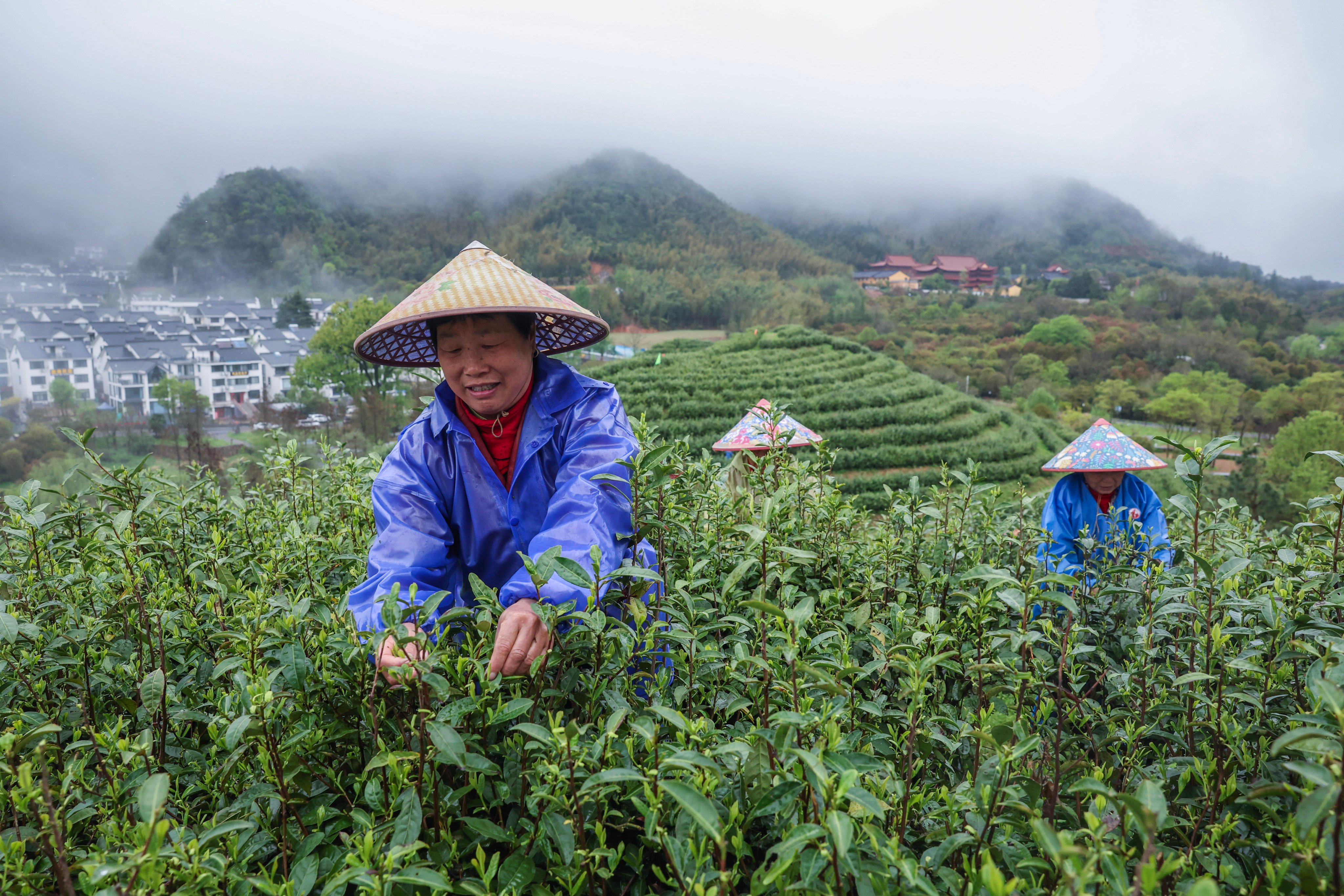 Zhejiang province in eastern China has one of the country’s most affluent countrysides, presenting an exception to the national rural-urban divide. Photo: Xinhua