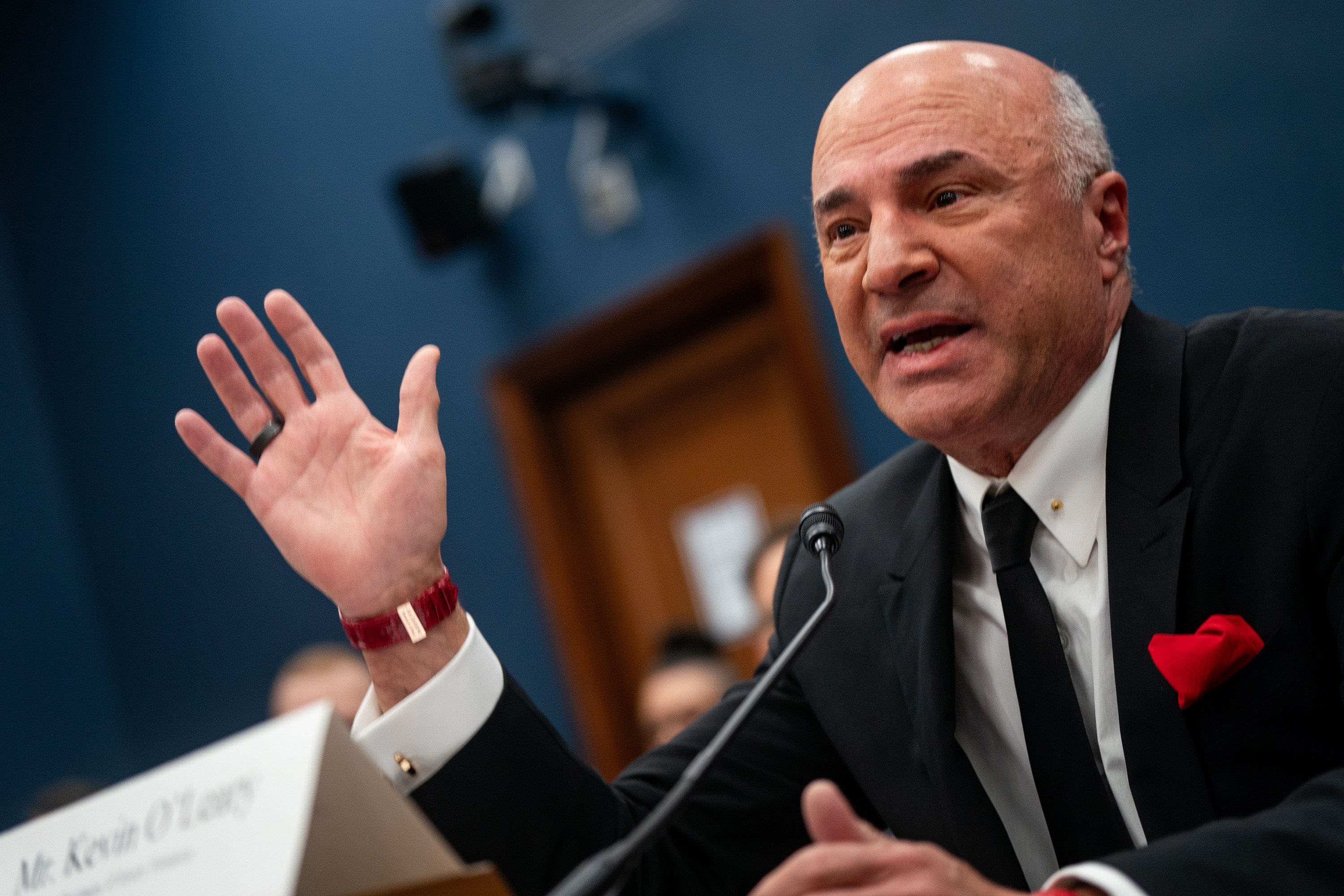 Kevin O’Leary is part of a group that has been putting together a bid for TikTok’s US business. Photo: TNS