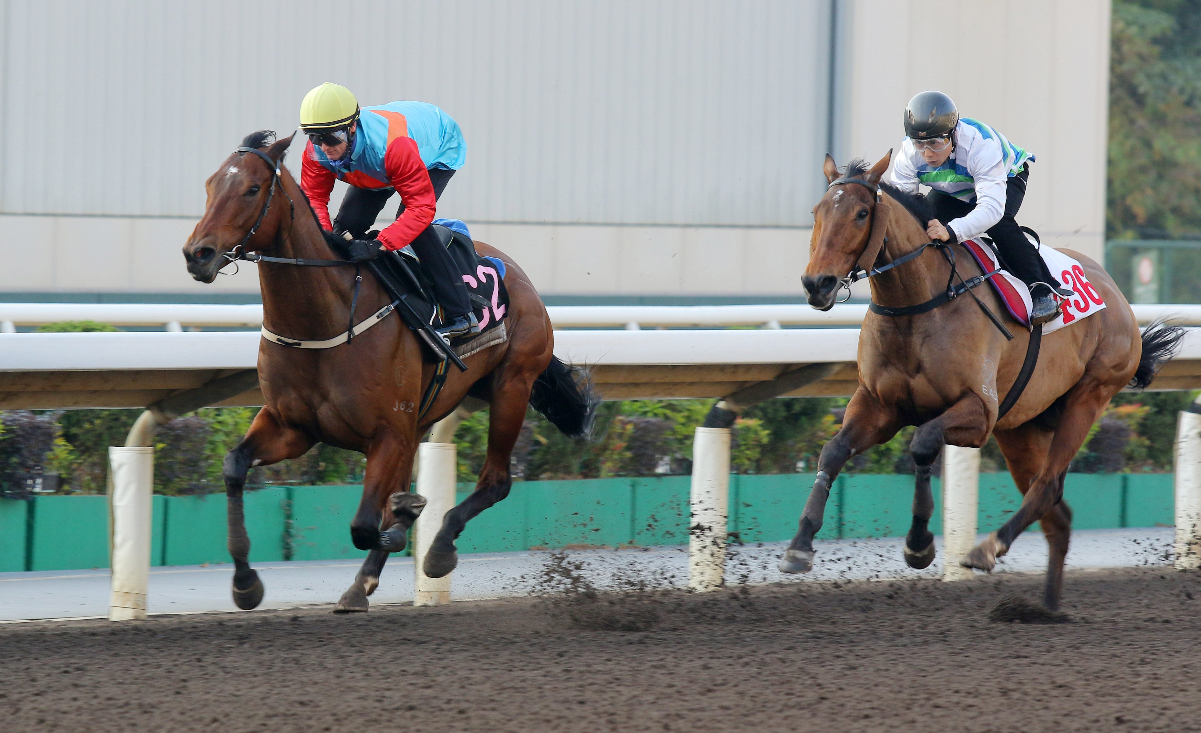 Ka Ying Rising (left) leads Voyage Bubble home at Sha Tin on Thursday morning. Photos: Kenneth Chan