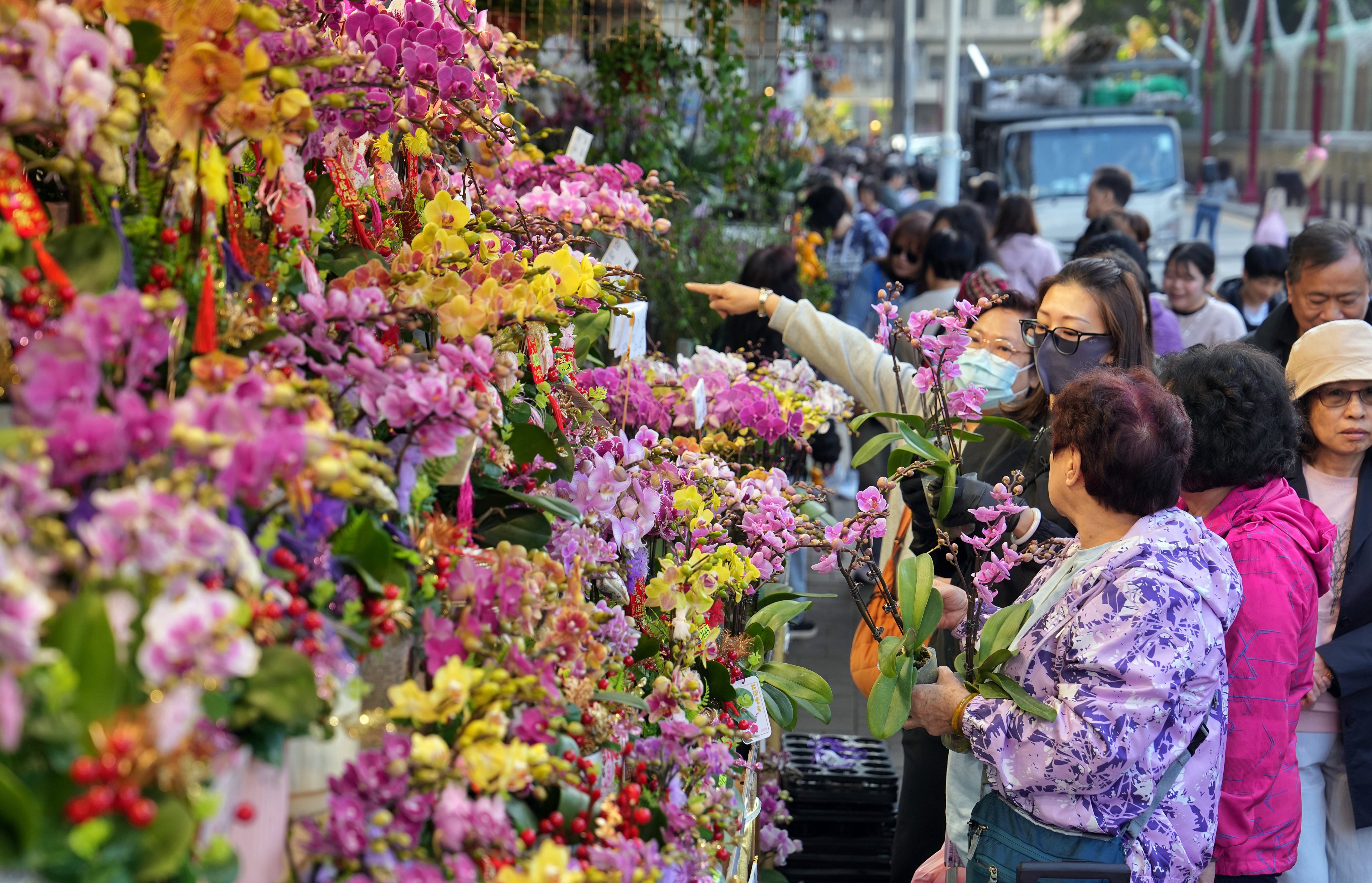 The flower market in Mong Kok is a popular spot to visit. Photo: Elson Li