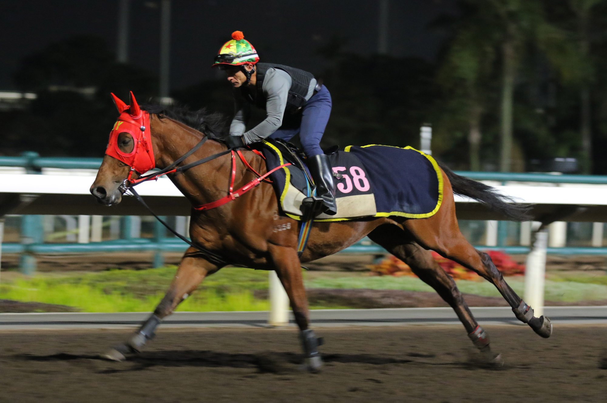 Fast Network gallops on the Sha Tin dirt on Thursday morning.