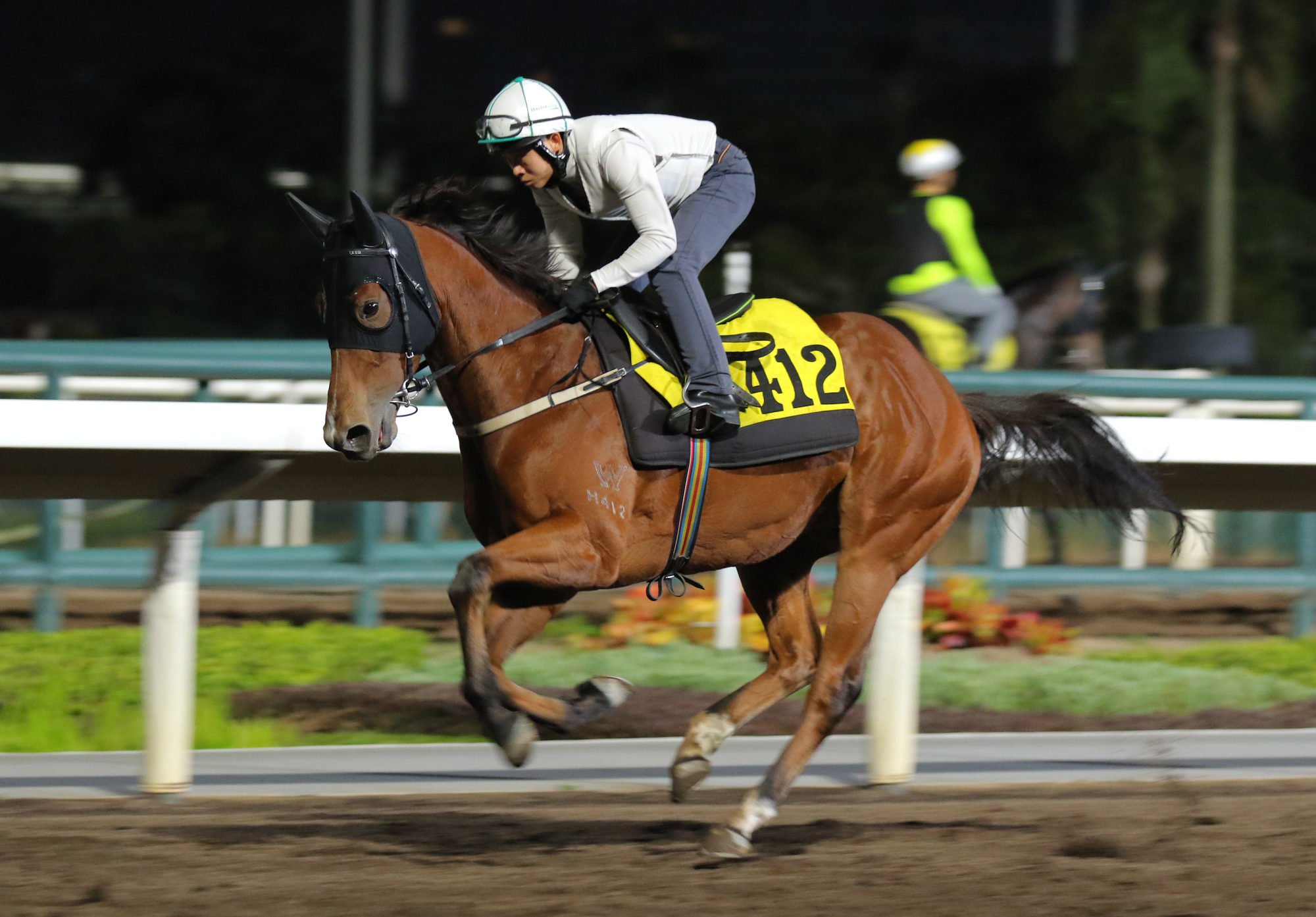 Rubylot galloping on Sha Tin’s all-weather track.