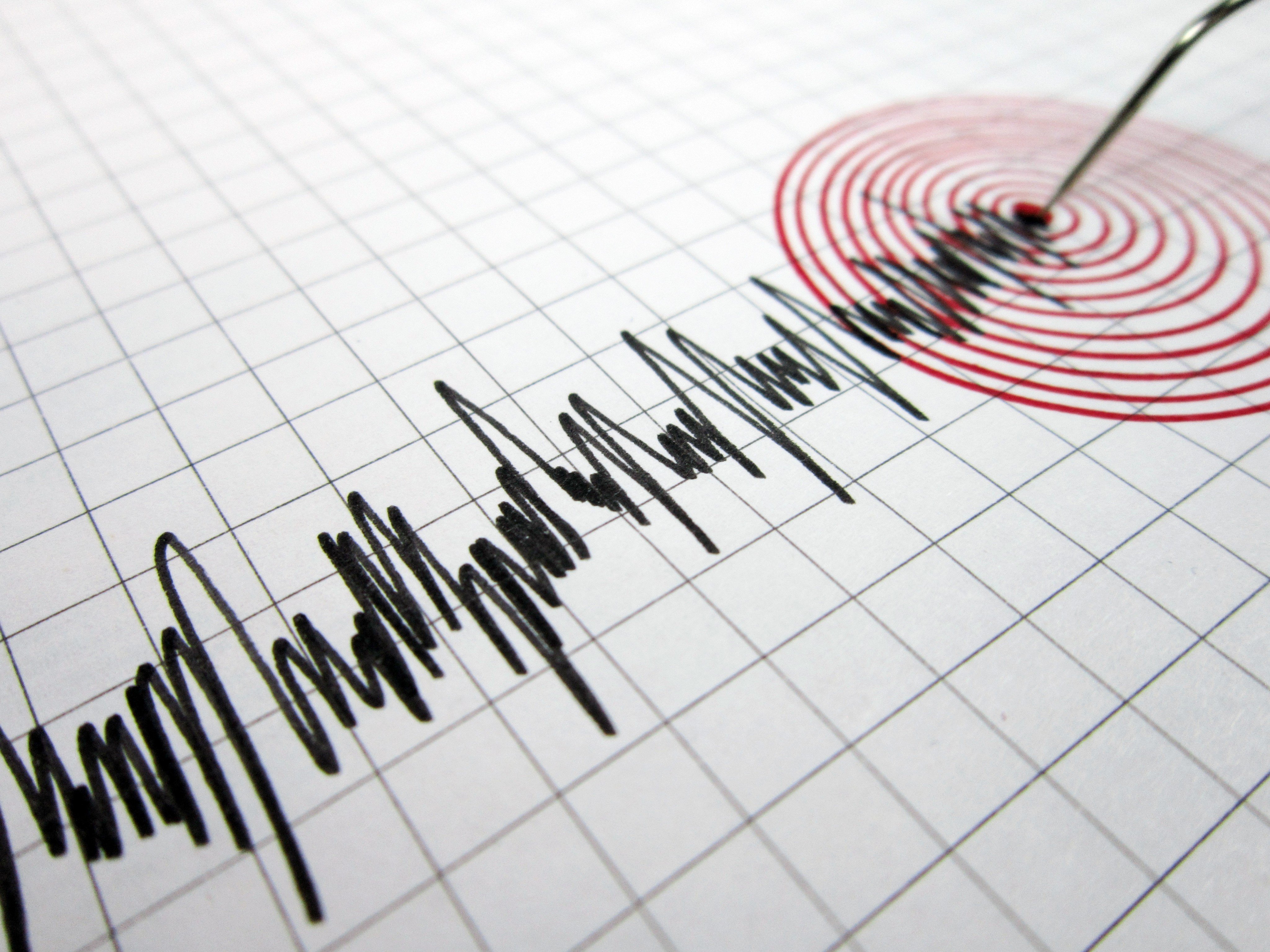 A seismograph records the seismic activity of an earthquake. The epicentre of Friday’s quake was about 200km southeast of the city. Photo: Shutterstock