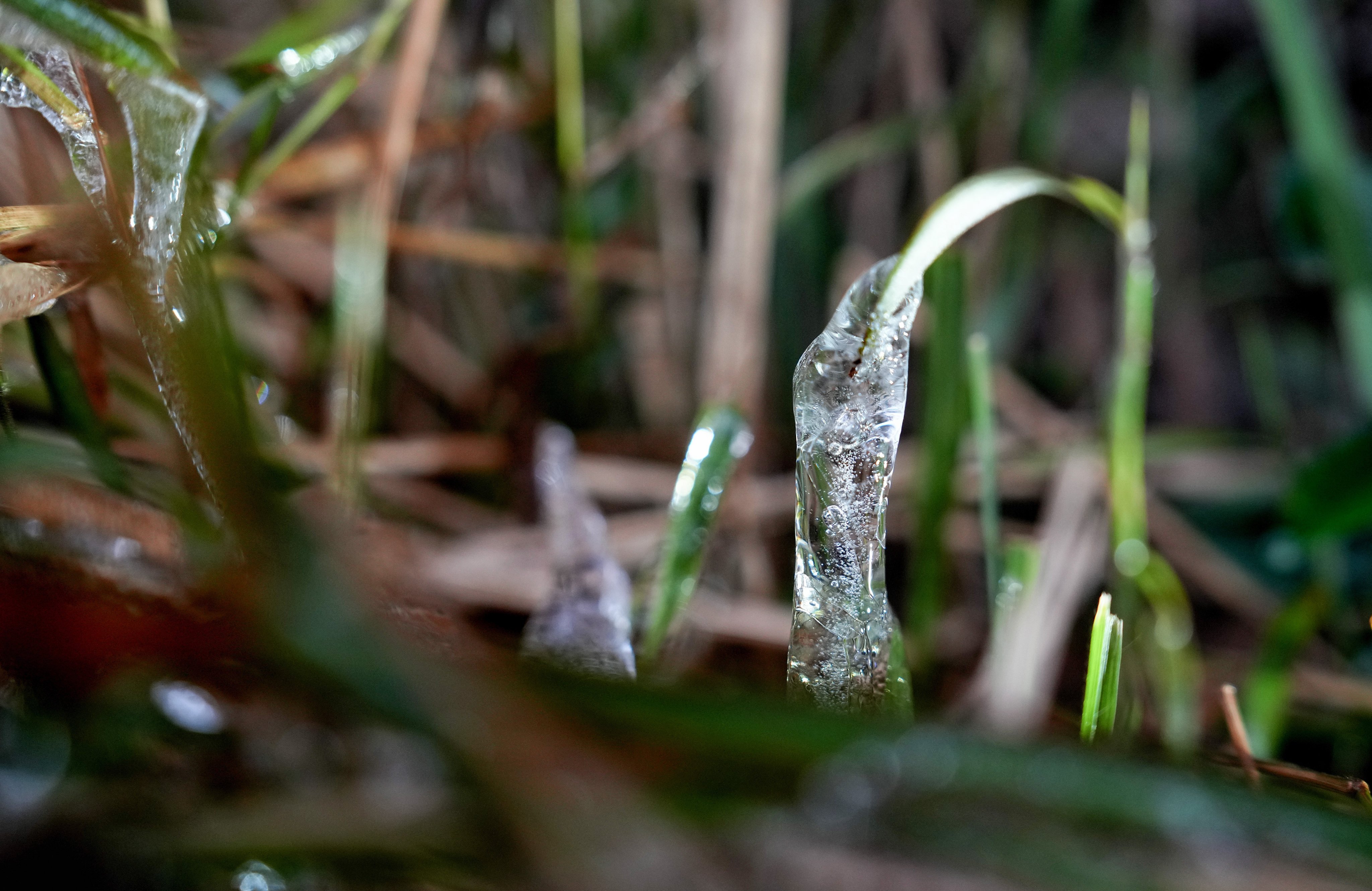 Frost on the peak of Tai Mo Shan on Wednesday morning. Photo: Elson Li